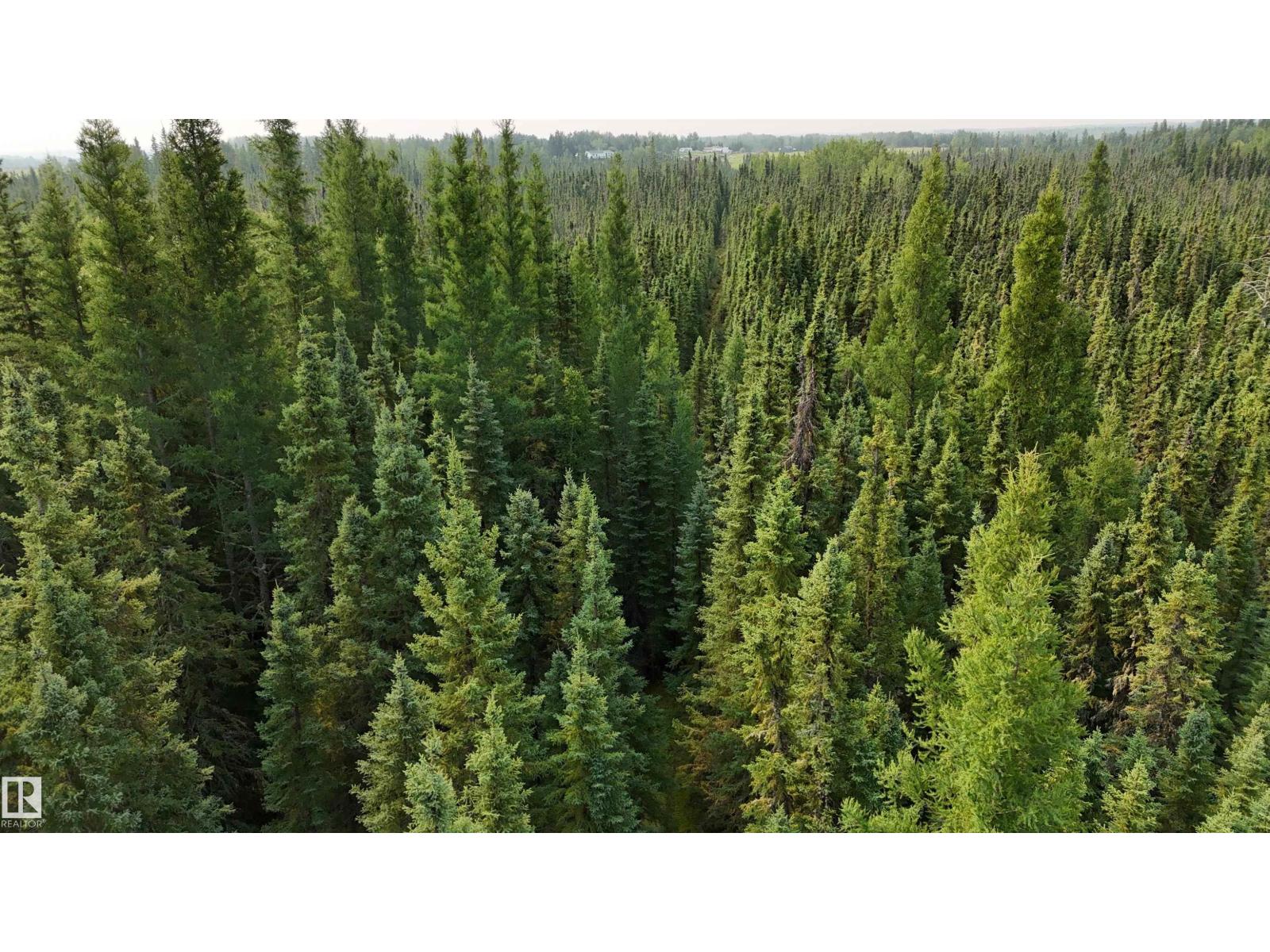 Range Rd 65 Twp 505, Rural Parkland County, Alberta T0E 2H0 - Photo 4 - E4502043