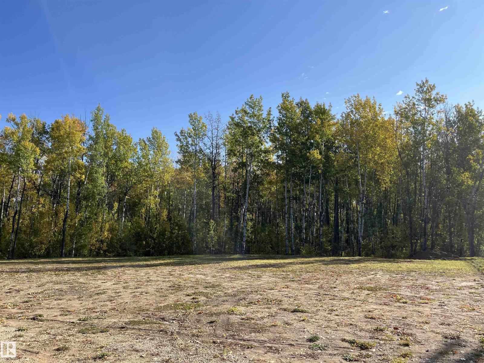 10 53424 Rge Rd, Rural Parkland County, Alberta  T0E 2B0 - Photo 2 - E4502494