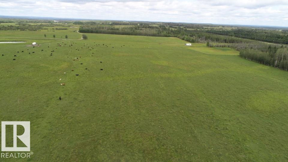 6528 Twp Road 492, Rural Brazeau County, Alberta T7A 1R8 - Photo 67 - E4502676