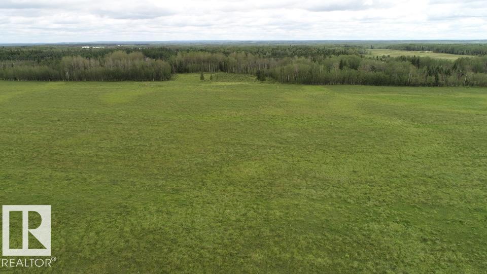 6528 Twp Road 492, Rural Brazeau County, Alberta T7A 1R8 - Photo 69 - E4502676