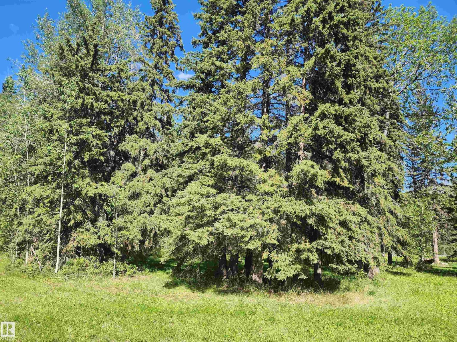 463055 Rge Road 64, Rural Wetaskiwin County, Alberta T0C 0T0 - Photo 3 - E4502855