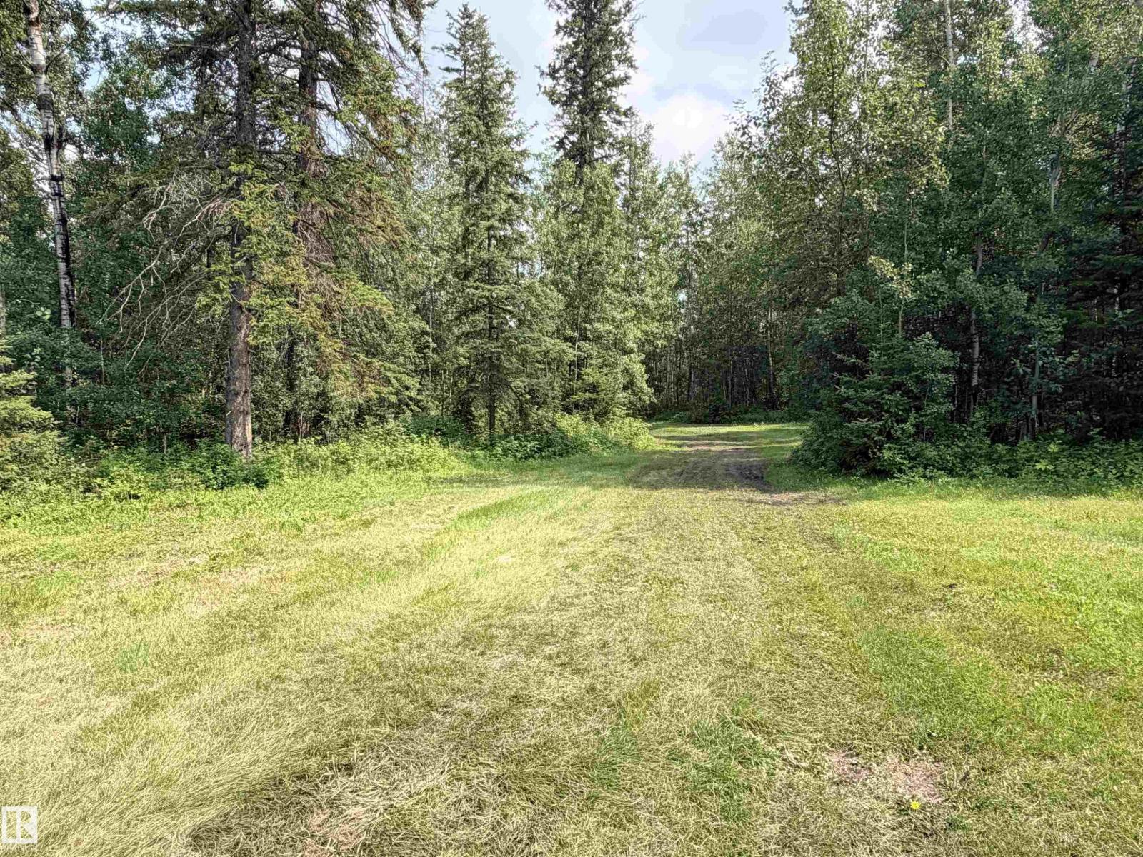 3306 Rail Grade Rd, Rural Lac Ste. Anne County, Alberta  T0E 0A0 - Photo 11 - E4502922
