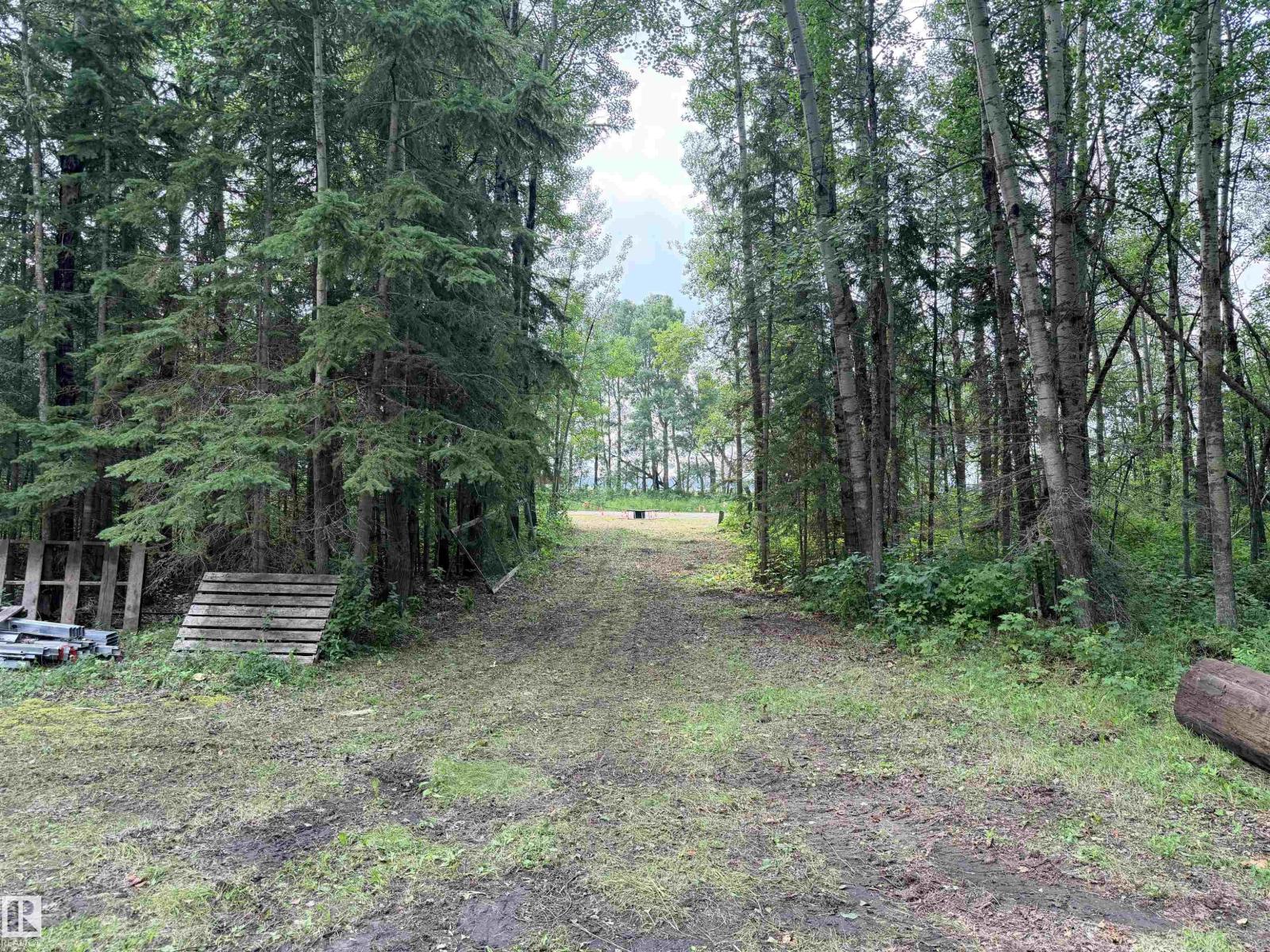 3306 Rail Grade Rd, Rural Lac Ste. Anne County, Alberta  T0E 0A0 - Photo 6 - E4502922