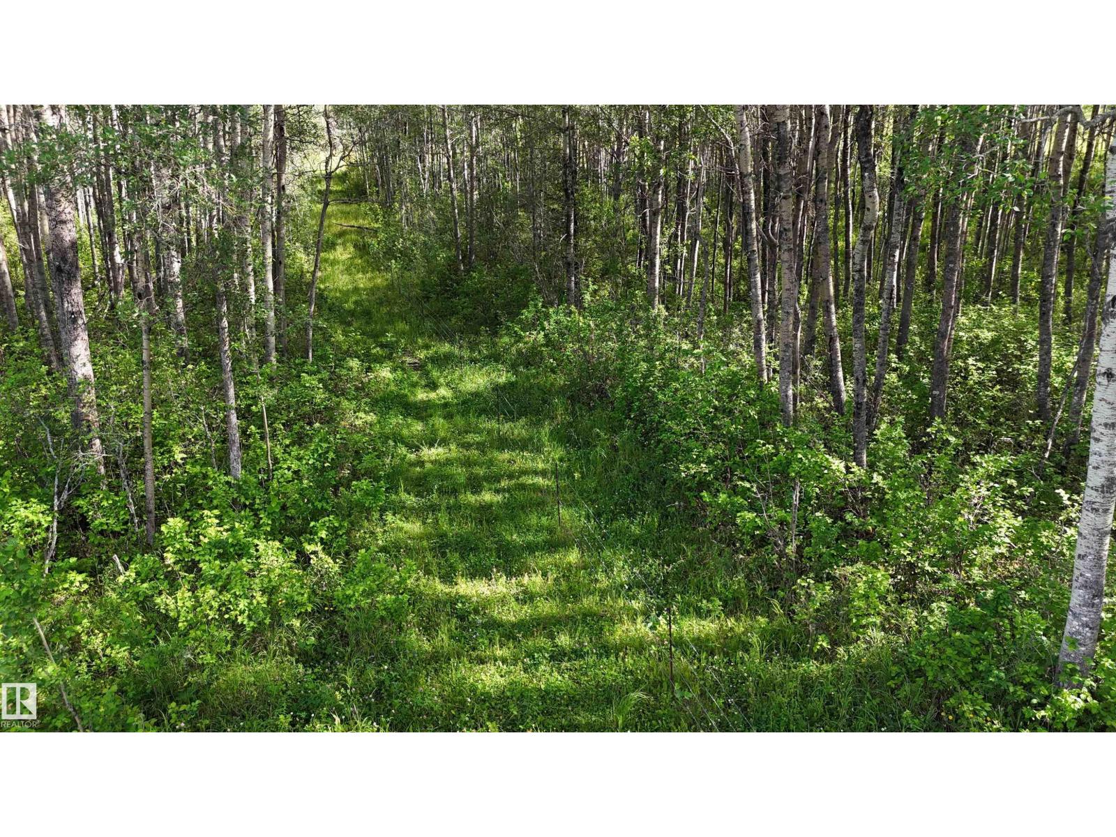 Twp 512 Rr 75, Rural Parkland County, Alberta T7A 1R9 - Photo 23 - E4503017