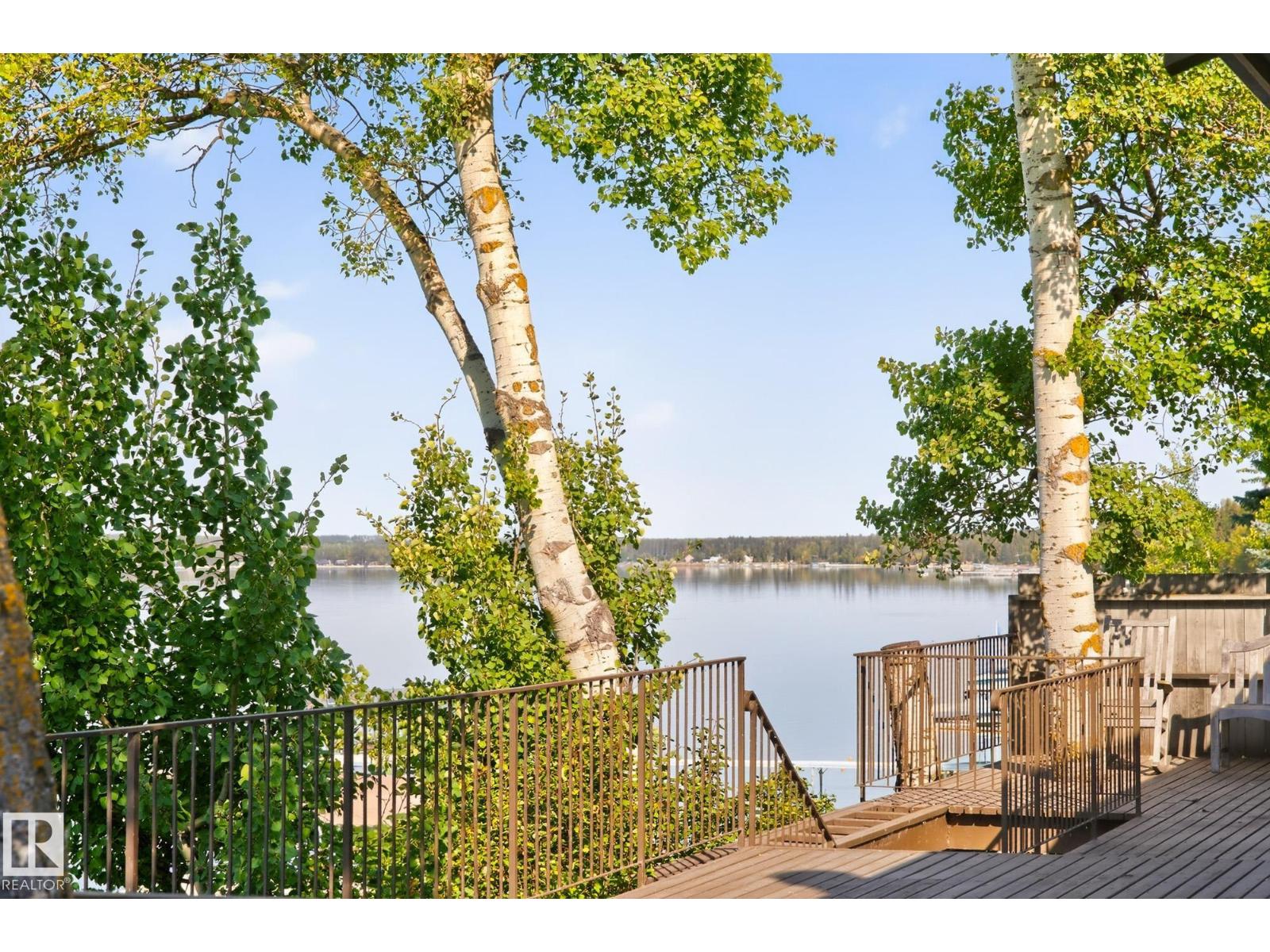 139 Silver Beach Rd, Rural Wetaskiwin County, Alberta T0C 2C0 - Photo 47 - E4503328