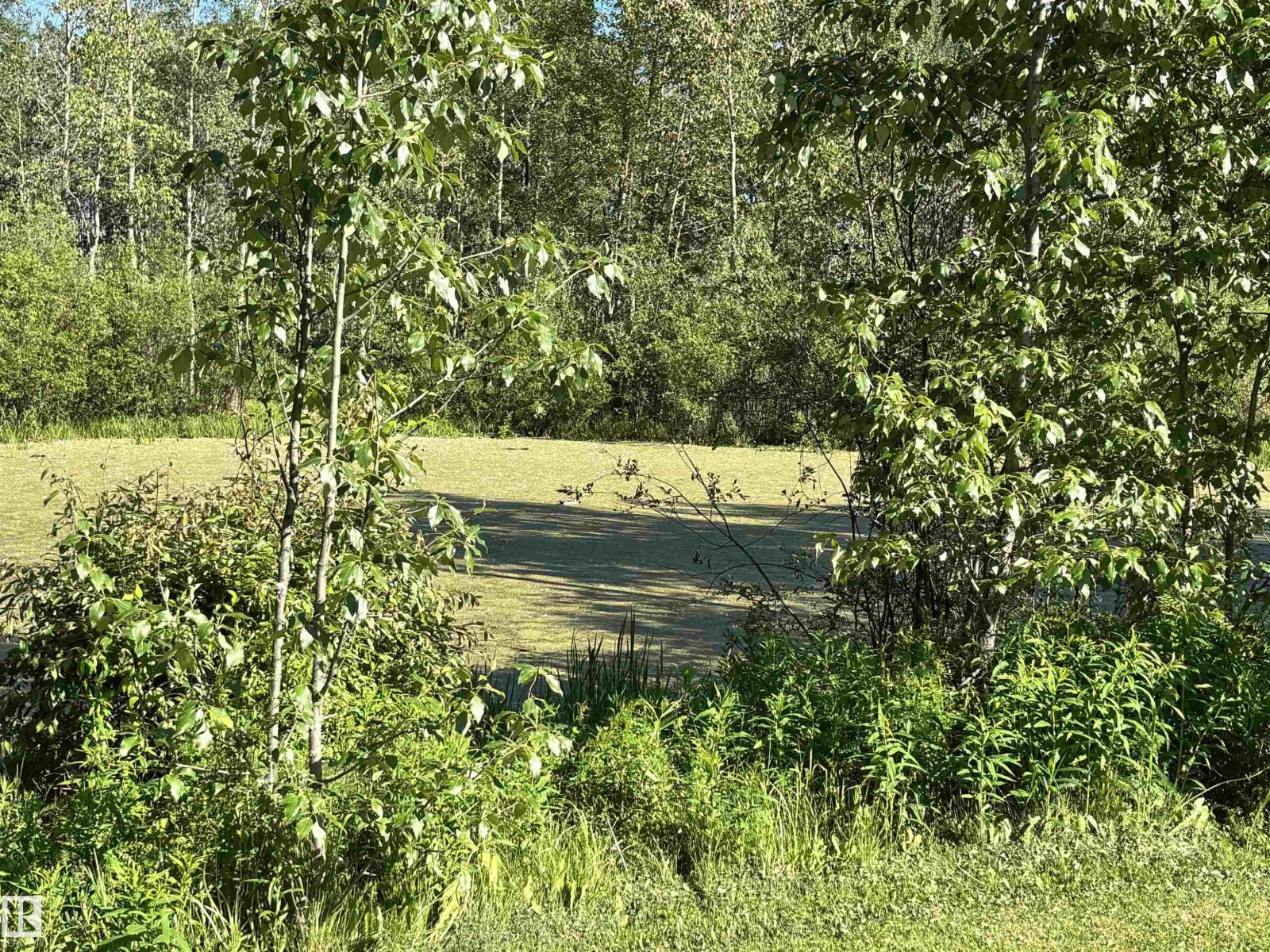 53513 Hwy 765, Rural Lac Ste. Anne County, Alberta T0E 0L0 - Photo 38 - E4503460