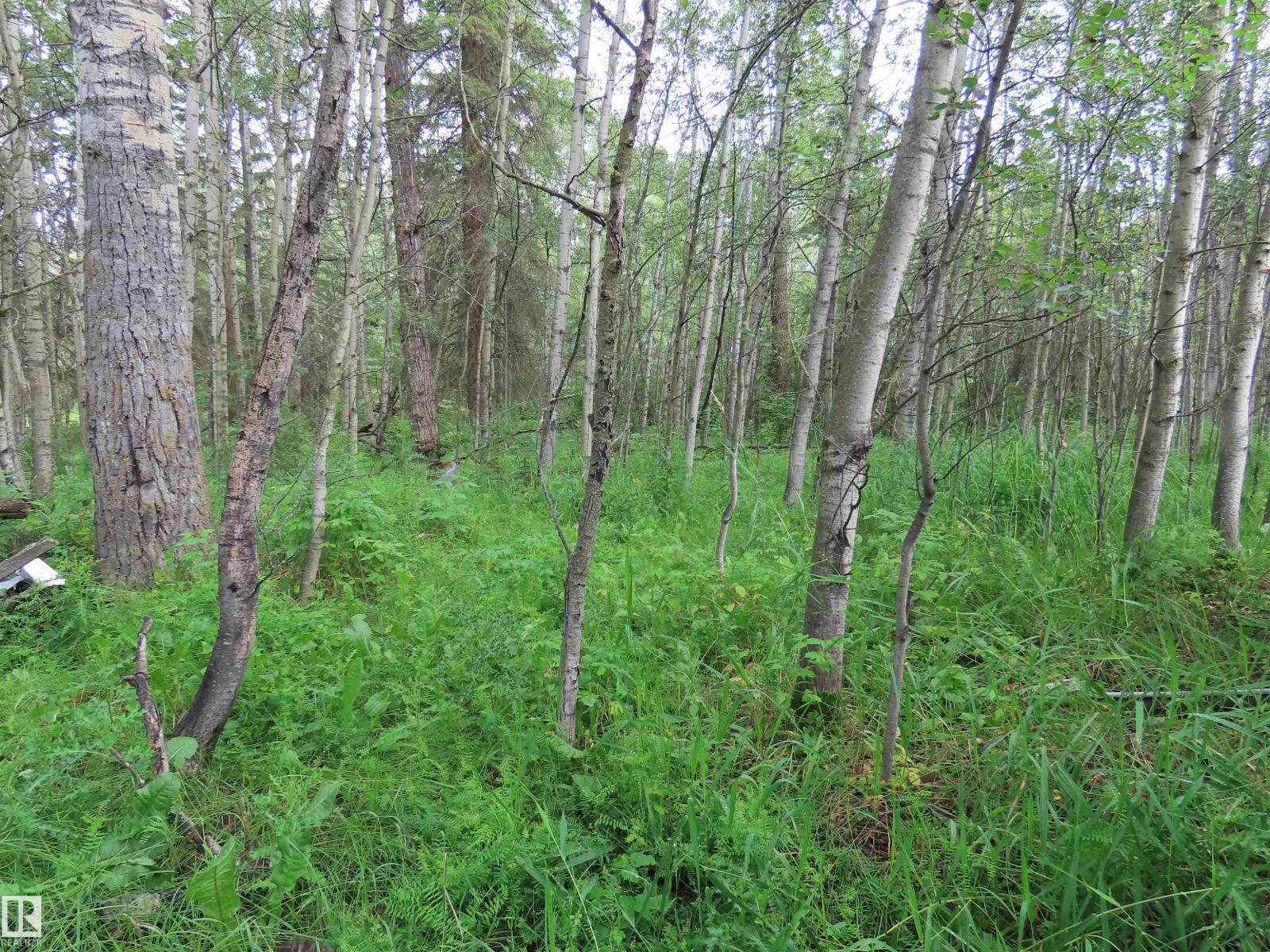 2217 Township 560, Rural Lac Ste. Anne County, Alberta T0E 1V0 - Photo 10 - E4503687