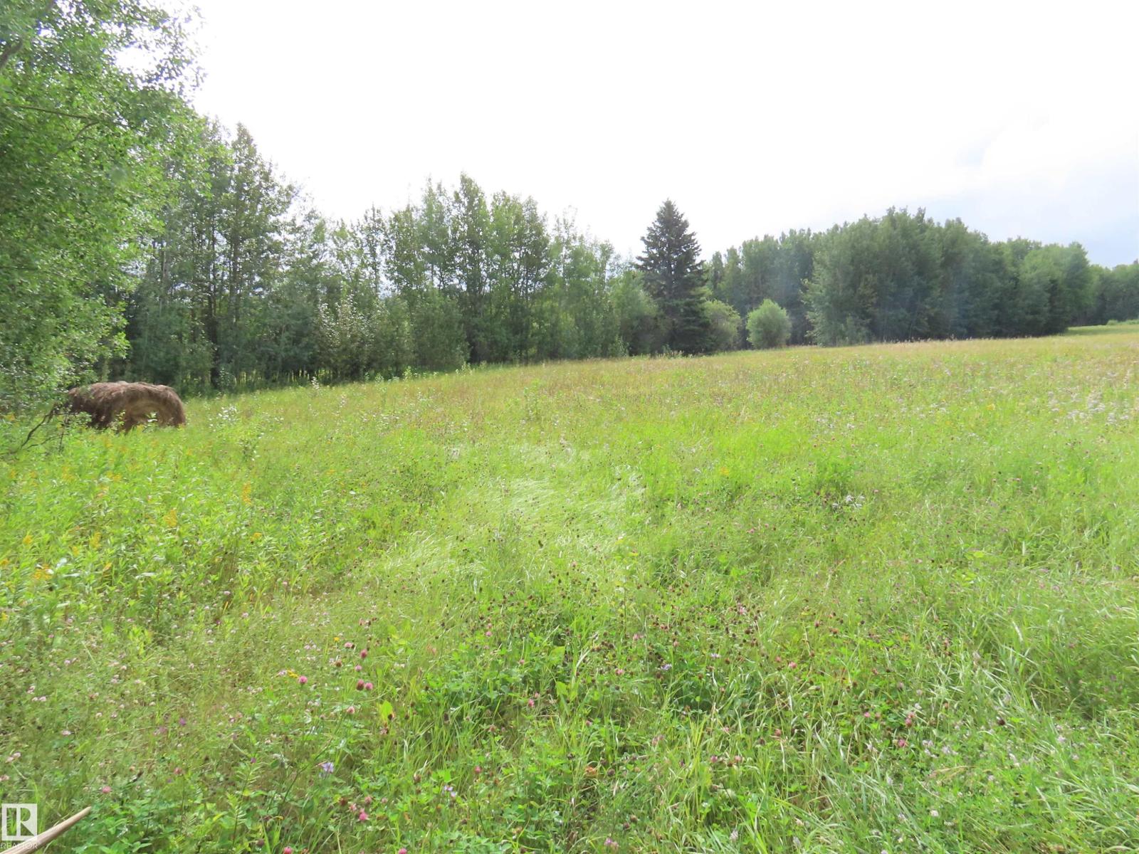 2217 Township 560, Rural Lac Ste. Anne County, Alberta T0E 1V0 - Photo 25 - E4503687