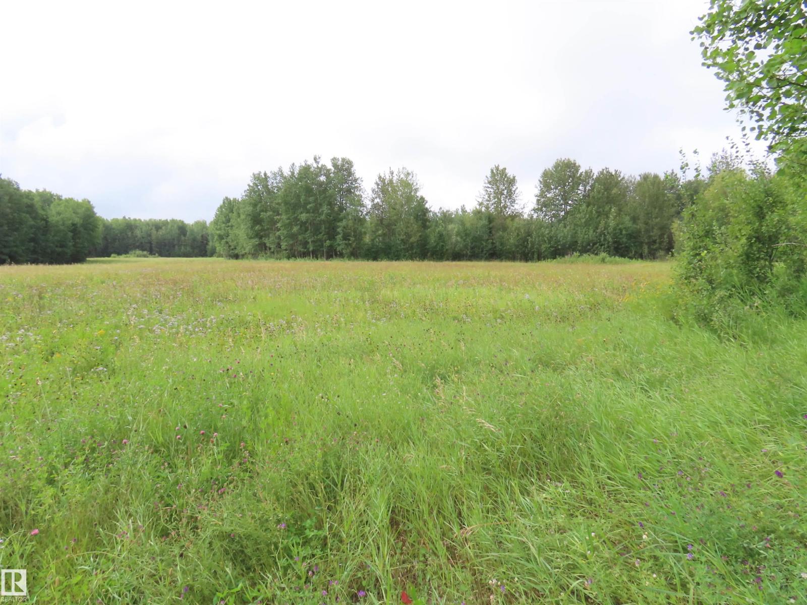 2217 Township 560, Rural Lac Ste. Anne County, Alberta T0E 1V0 - Photo 26 - E4503687