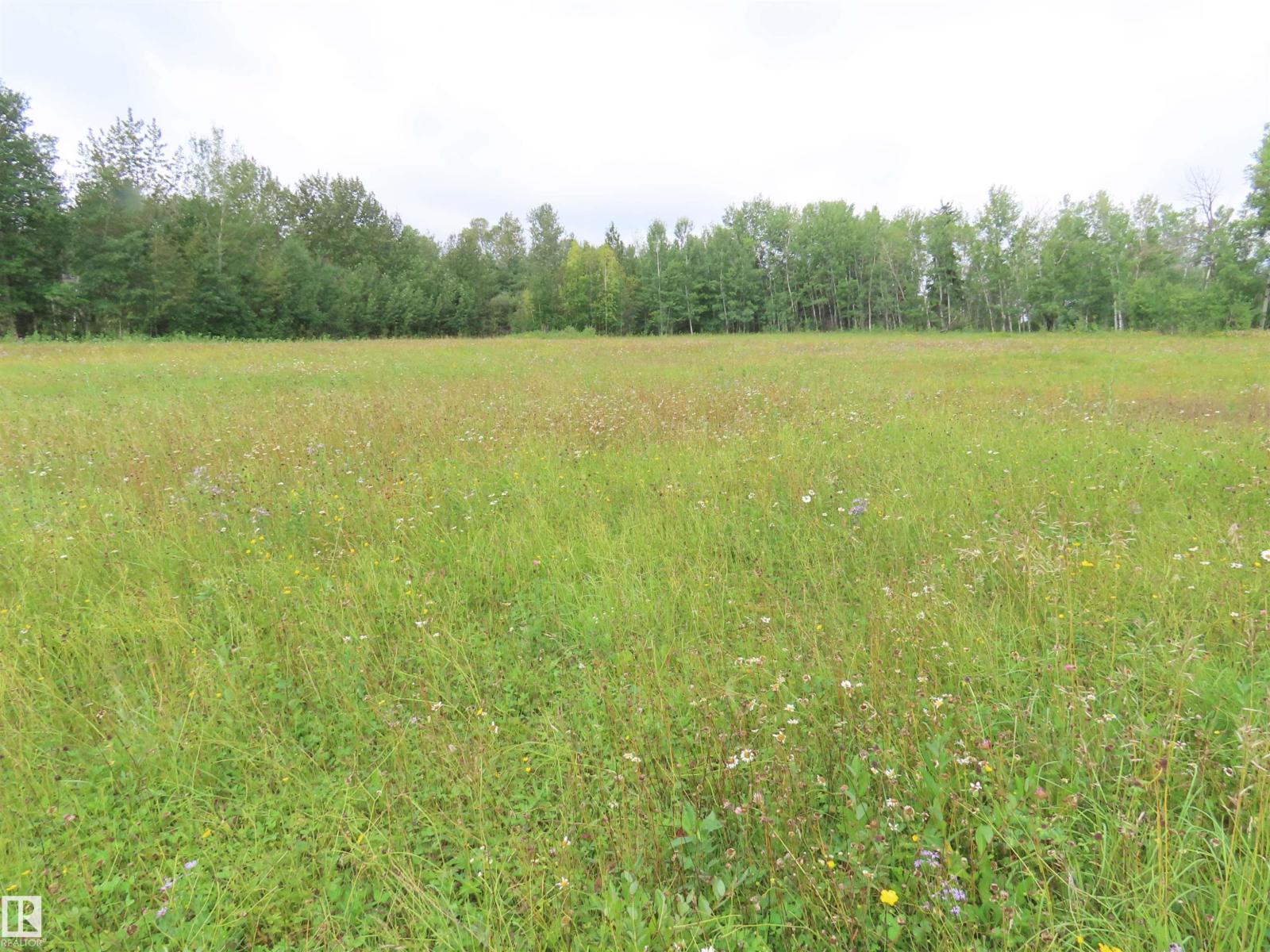 2217 Township 560, Rural Lac Ste. Anne County, Alberta T0E 1V0 - Photo 27 - E4503687