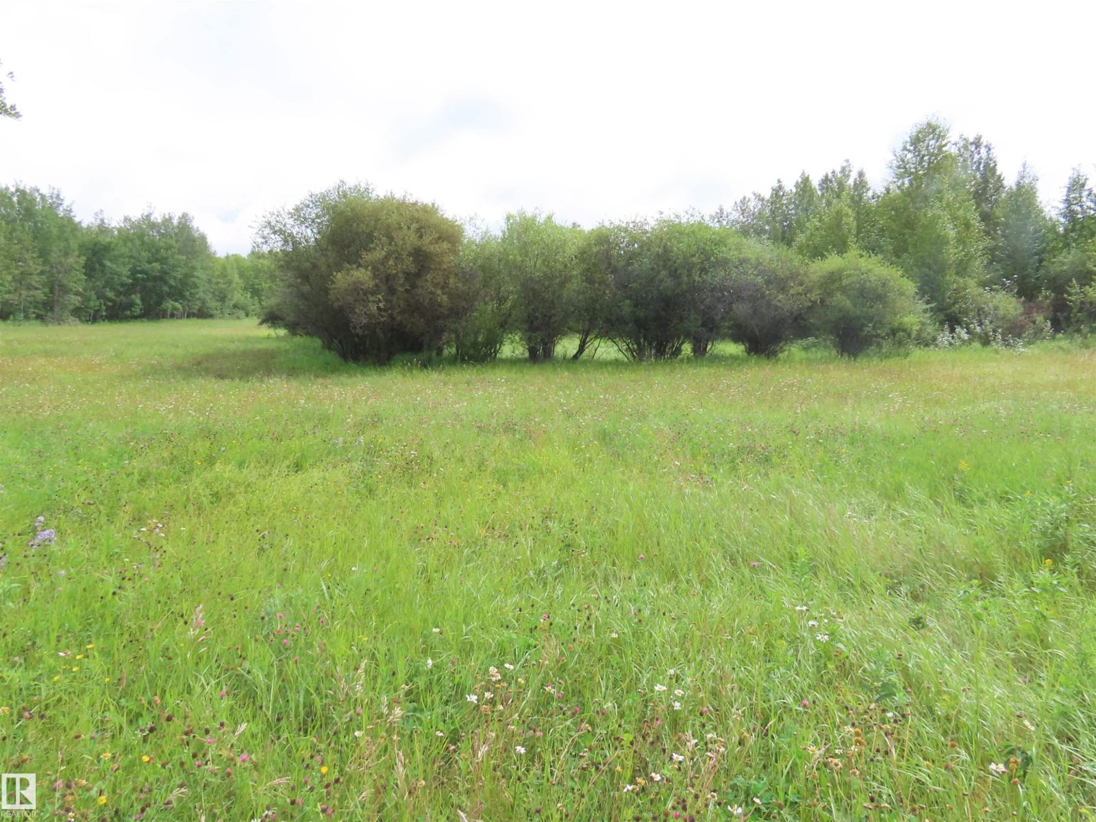 2217 Township 560, Rural Lac Ste. Anne County, Alberta T0E 1V0 - Photo 28 - E4503687