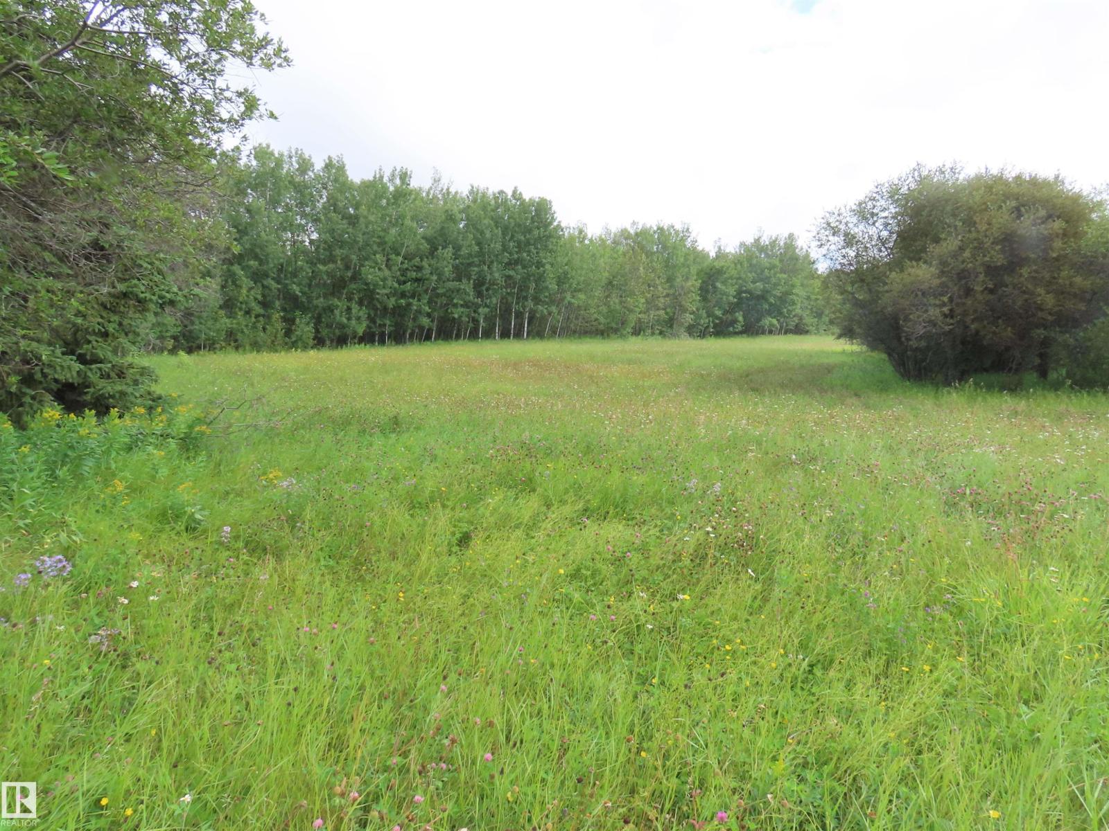 2217 Township 560, Rural Lac Ste. Anne County, Alberta T0E 1V0 - Photo 30 - E4503687
