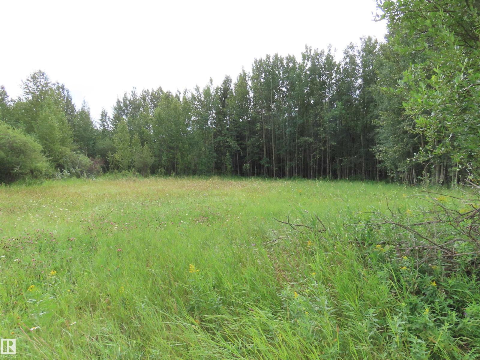 2217 Township 560, Rural Lac Ste. Anne County, Alberta T0E 1V0 - Photo 31 - E4503687