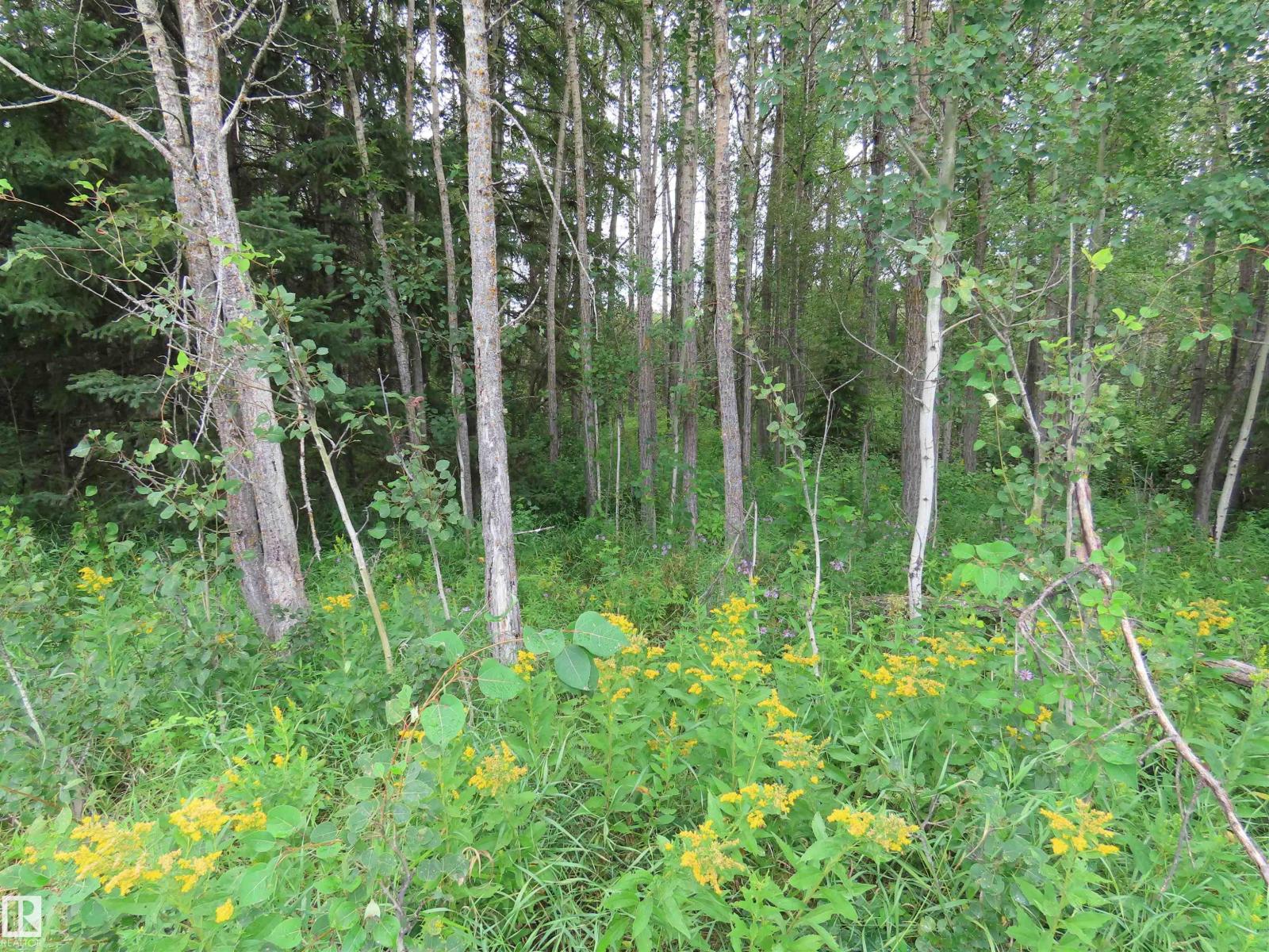 2217 Township 560, Rural Lac Ste. Anne County, Alberta T0E 1V0 - Photo 36 - E4503687