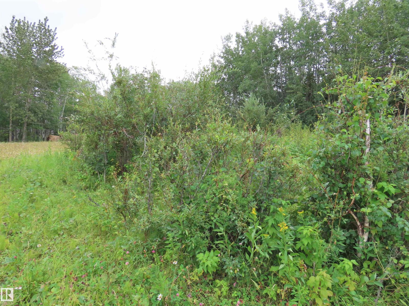 2217 Township 560, Rural Lac Ste. Anne County, Alberta T0E 1V0 - Photo 40 - E4503687