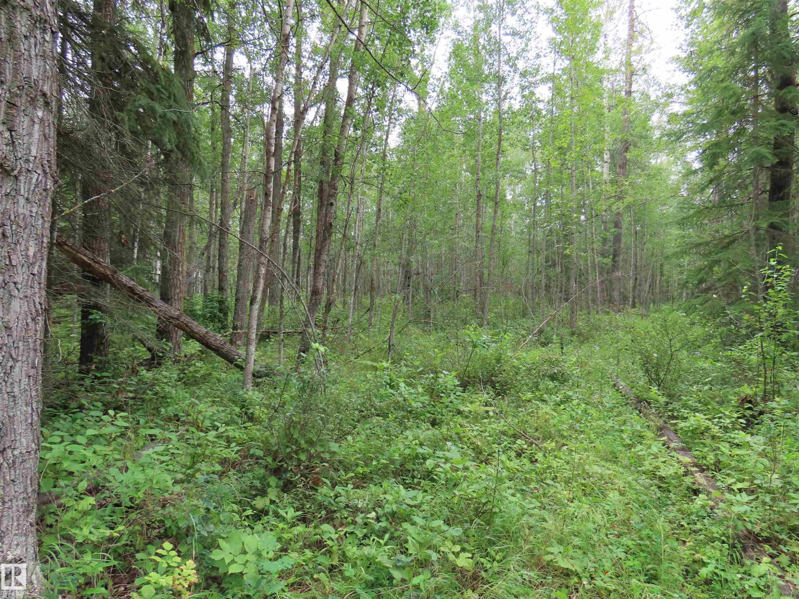 2217 Township 560, Rural Lac Ste. Anne County, Alberta T0E 1V0 - Photo 42 - E4503687
