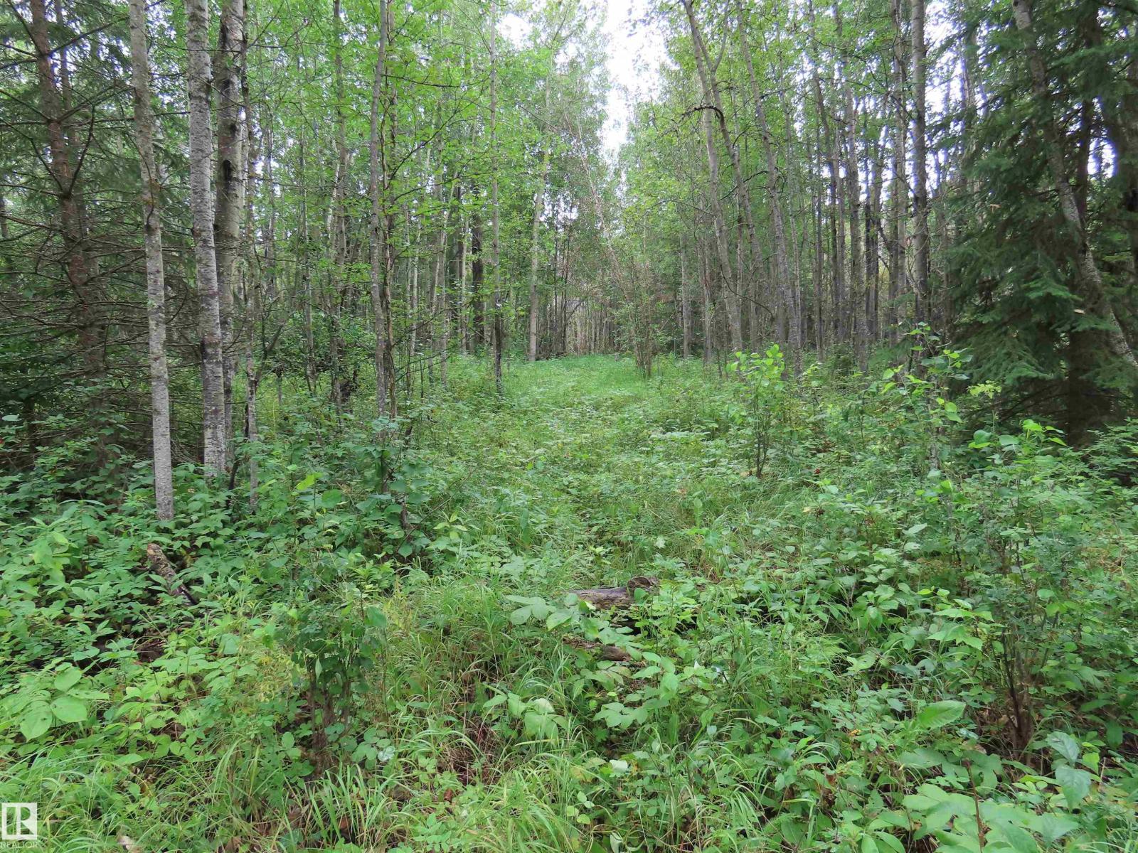 2217 Township 560, Rural Lac Ste. Anne County, Alberta T0E 1V0 - Photo 45 - E4503687