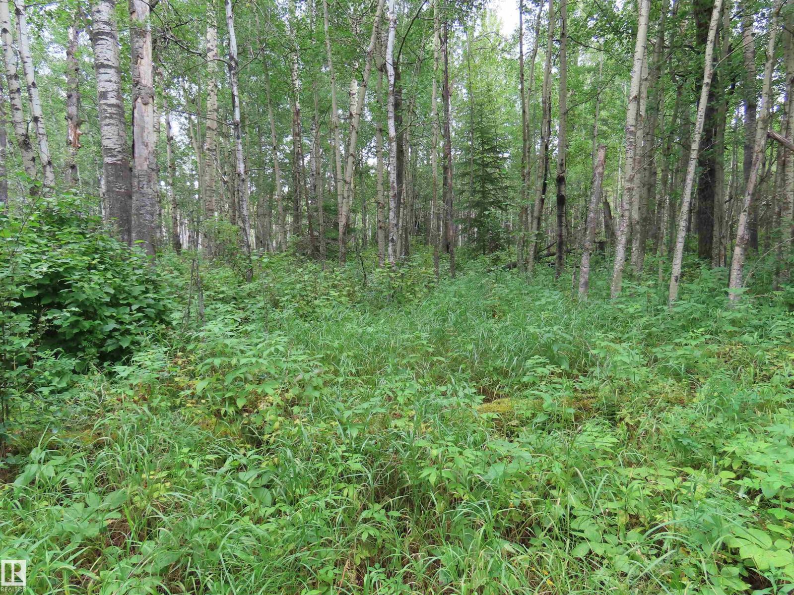2217 Township 560, Rural Lac Ste. Anne County, Alberta T0E 1V0 - Photo 46 - E4503687