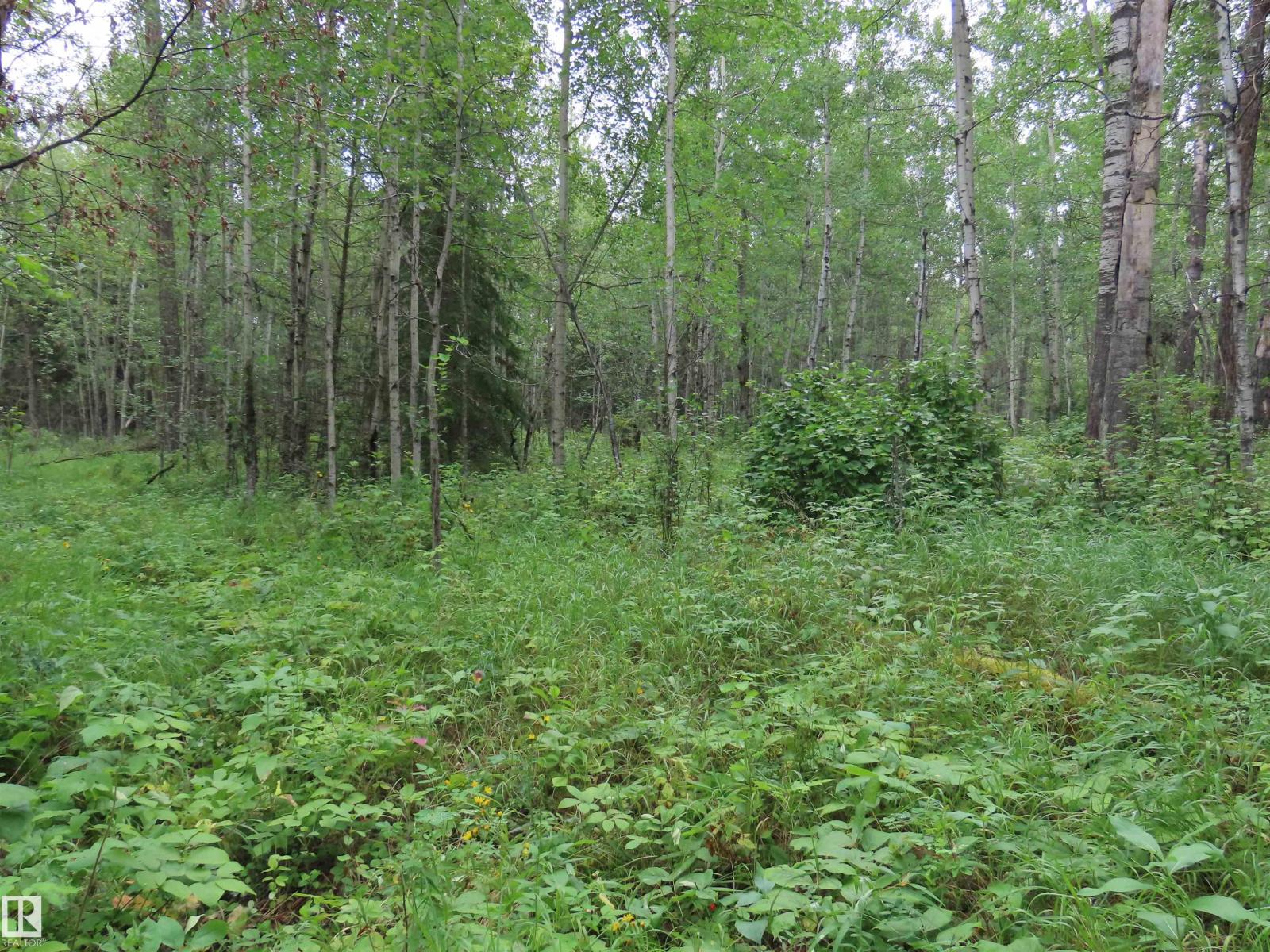 2217 Township 560, Rural Lac Ste. Anne County, Alberta T0E 1V0 - Photo 51 - E4503687