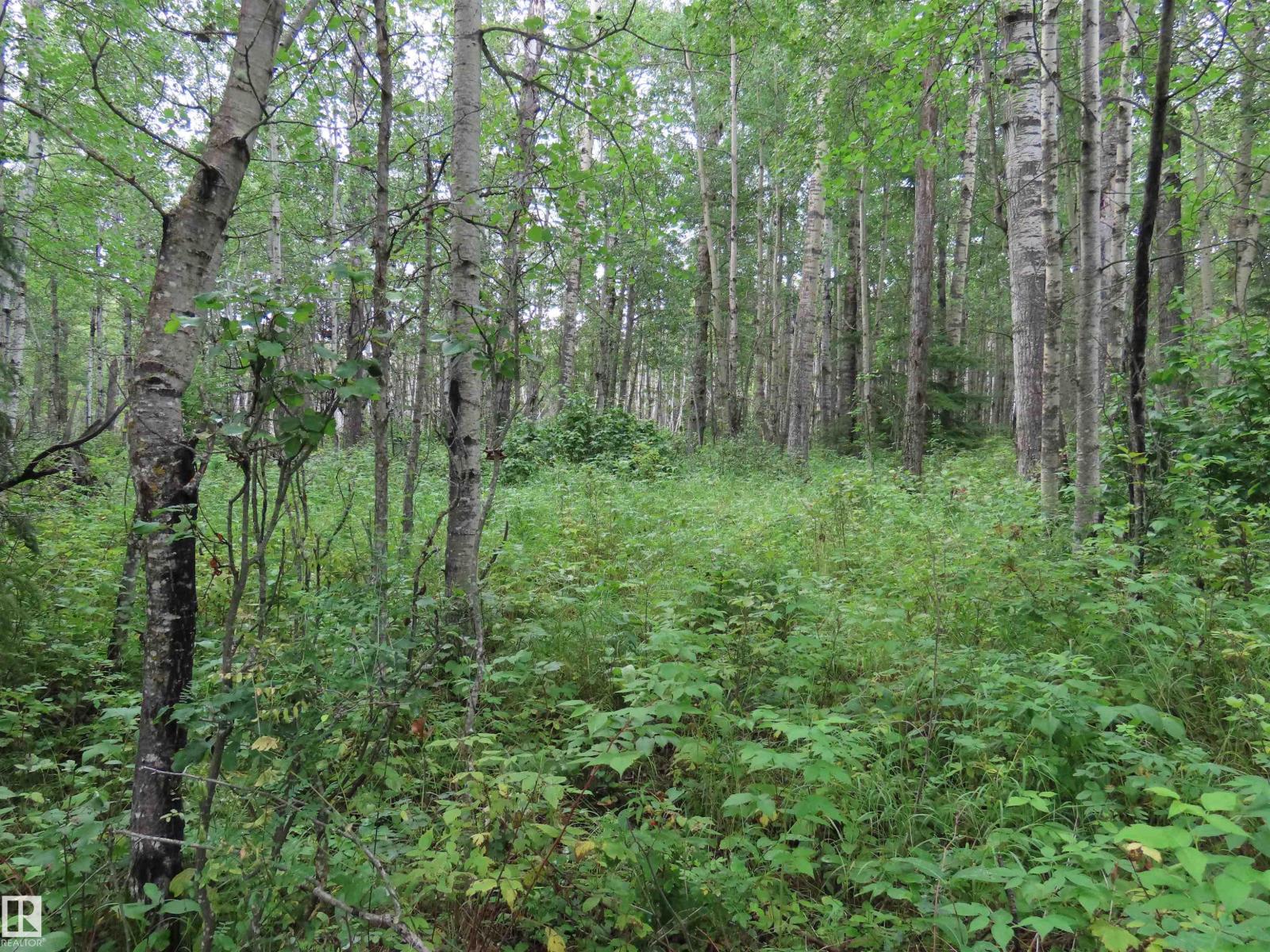 2217 Township 560, Rural Lac Ste. Anne County, Alberta T0E 1V0 - Photo 52 - E4503687
