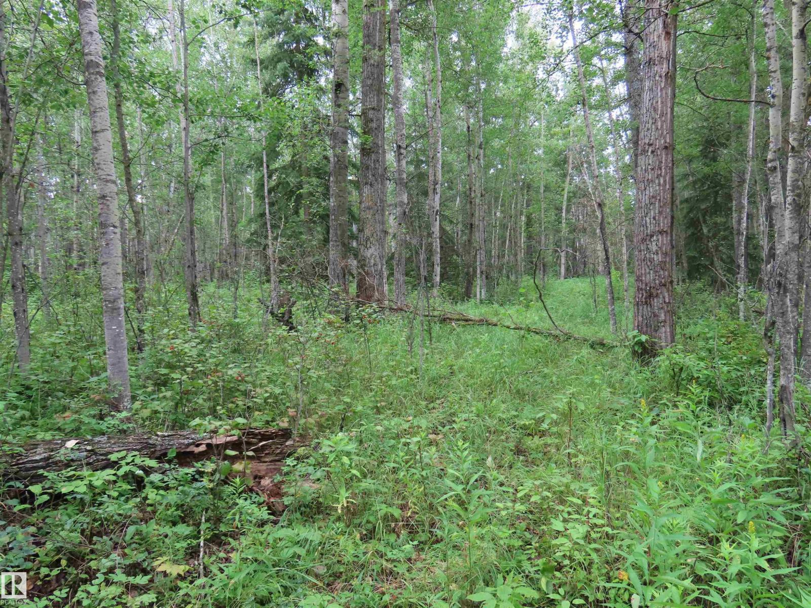 2217 Township 560, Rural Lac Ste. Anne County, Alberta T0E 1V0 - Photo 53 - E4503687