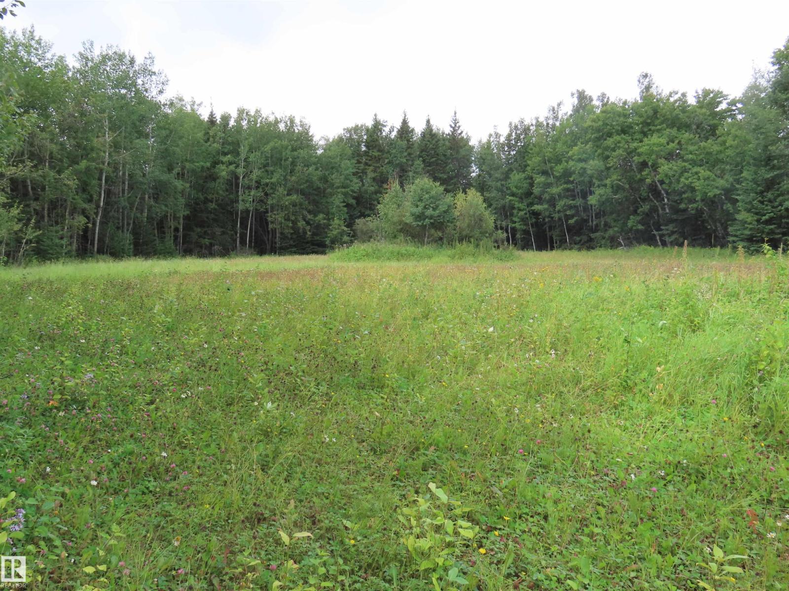 2217 Township 560, Rural Lac Ste. Anne County, Alberta T0E 1V0 - Photo 54 - E4503687