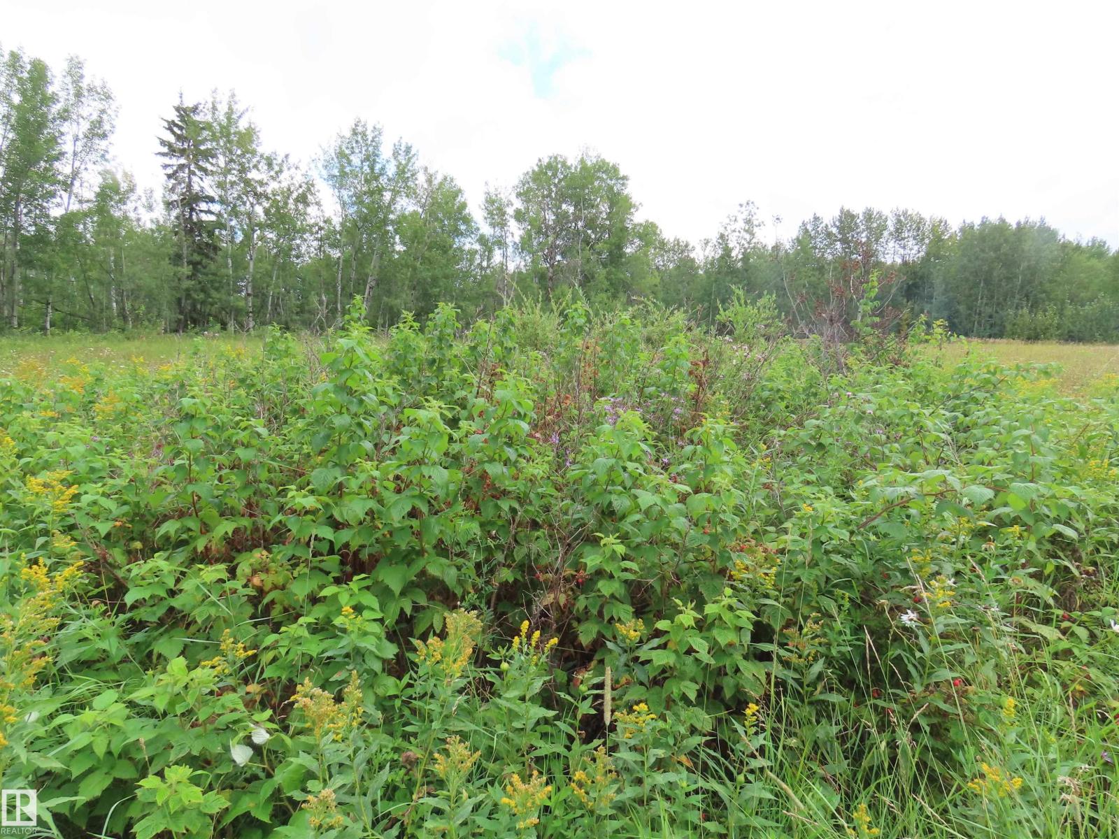 2217 Township 560, Rural Lac Ste. Anne County, Alberta T0E 1V0 - Photo 56 - E4503687