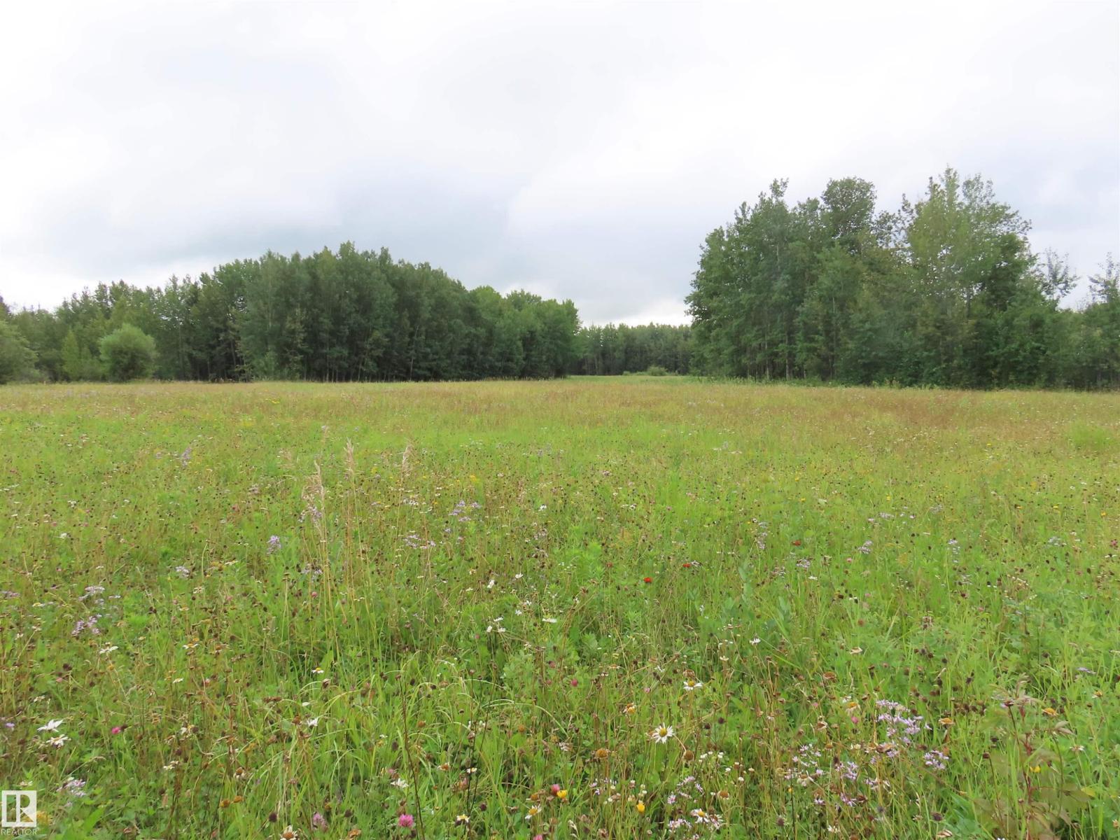 2217 Township 560, Rural Lac Ste. Anne County, Alberta T0E 1V0 - Photo 57 - E4503687