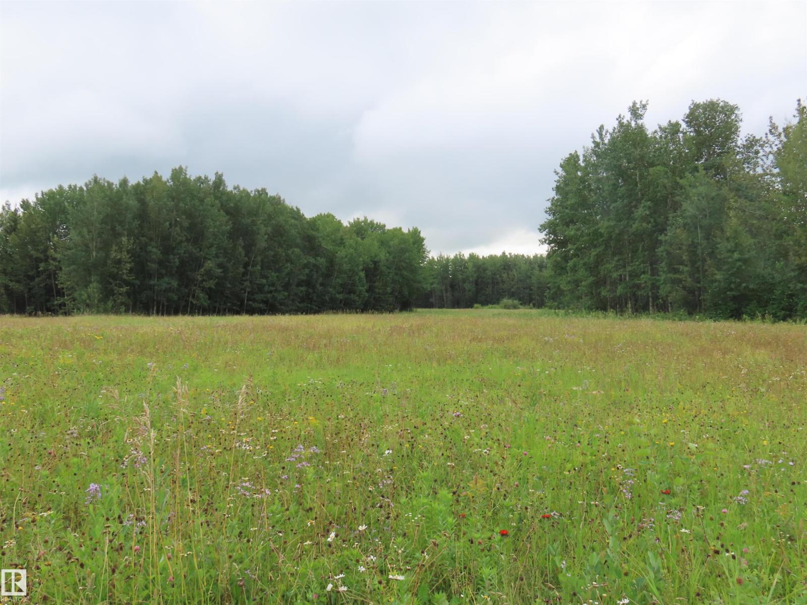 2217 Township 560, Rural Lac Ste. Anne County, Alberta T0E 1V0 - Photo 58 - E4503687
