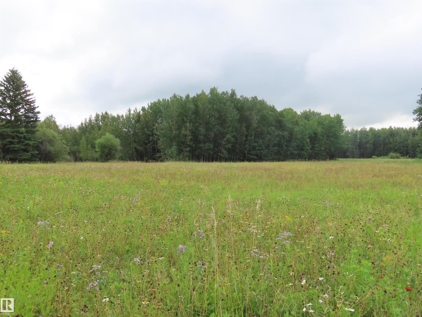 2217 Township 560, Rural Lac Ste. Anne County, Alberta T0E 1V0 - Photo 59 - E4503687