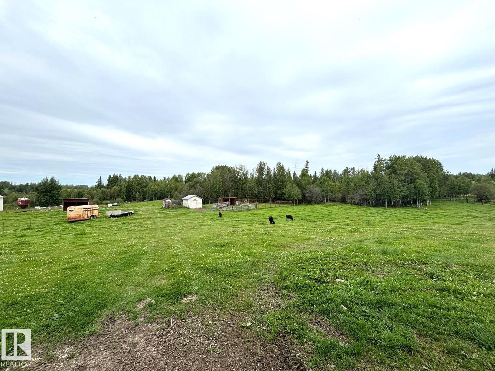 49424 Range Road 55, Rural Brazeau County, Alberta  T0C 1W0 - Photo 39 - E4504418