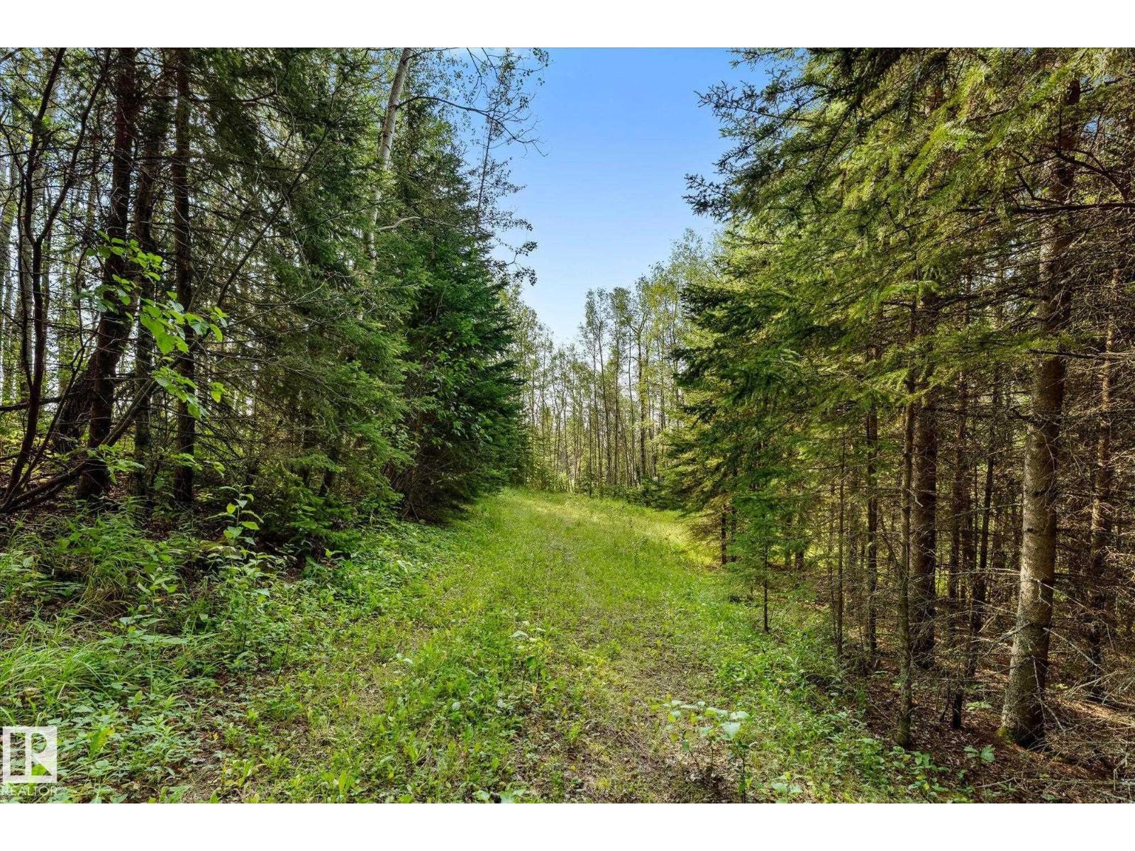 Sw 14-46-3-W5m Hwy 13, Rural Wetaskiwin County, Alberta T0C 2T0 - Photo 3 - E4504614