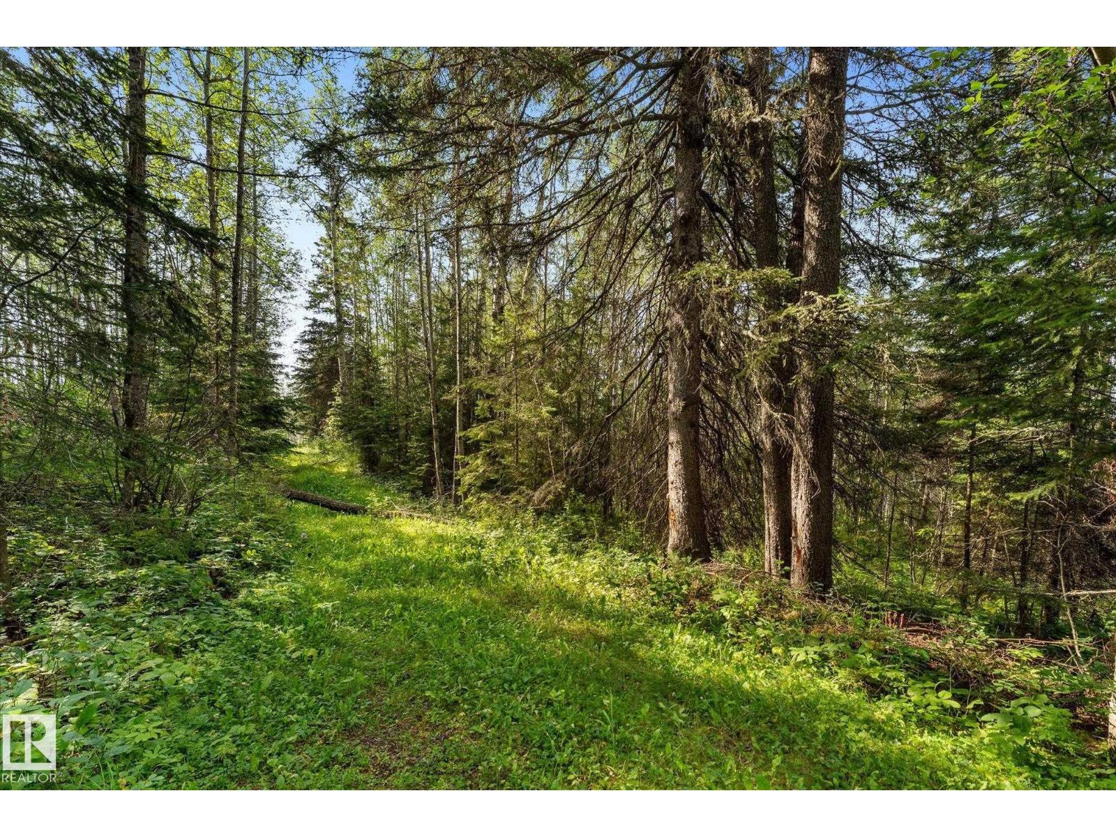 Sw 14-46-3-W5m Hwy 13, Rural Wetaskiwin County, Alberta T0C 2T0 - Photo 4 - E4504614