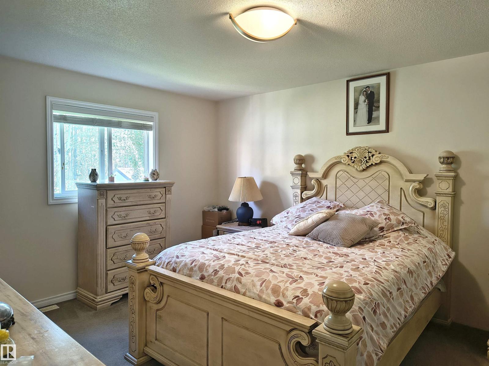 3512 45 St, Drayton Valley, Alberta T7A 1W3 - Photo 18 - E4504810