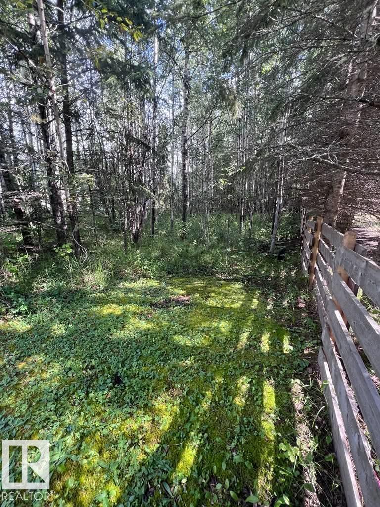 209 4418 Hwy 633, Rural Lac Ste. Anne County, Alberta T0E 0L0 - Photo 10 - E4505668