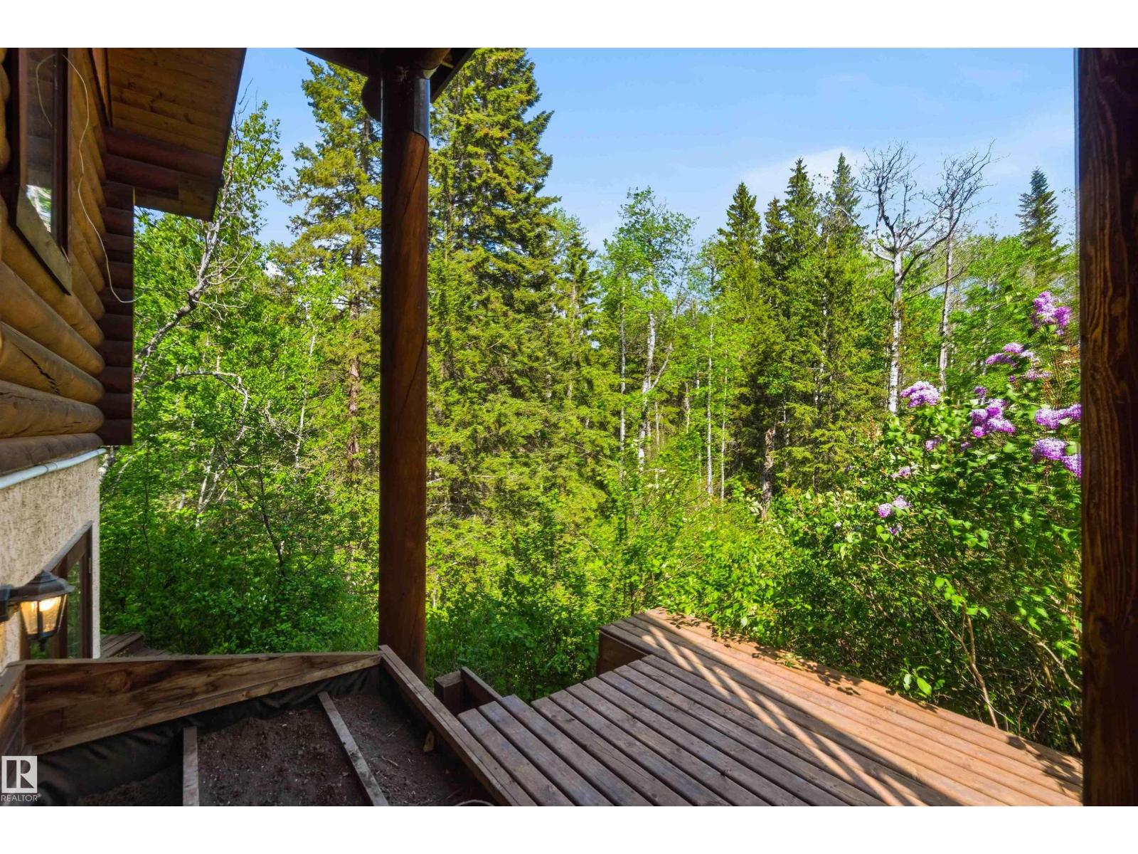 #17 A 15031 Twp Road 462, Rural Wetaskiwin County, Alberta T0C 2V0 - Photo 37 - E4505798