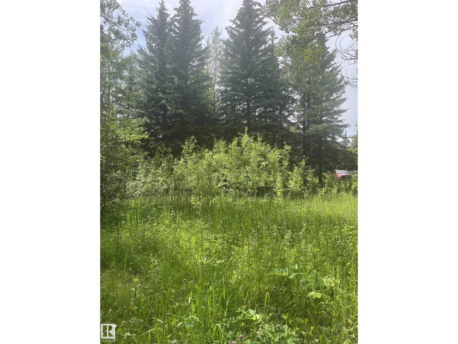 502 Highland Rd, Rural Wetaskiwin County, Alberta  T0C 2C0 - Photo 14 - E4505824