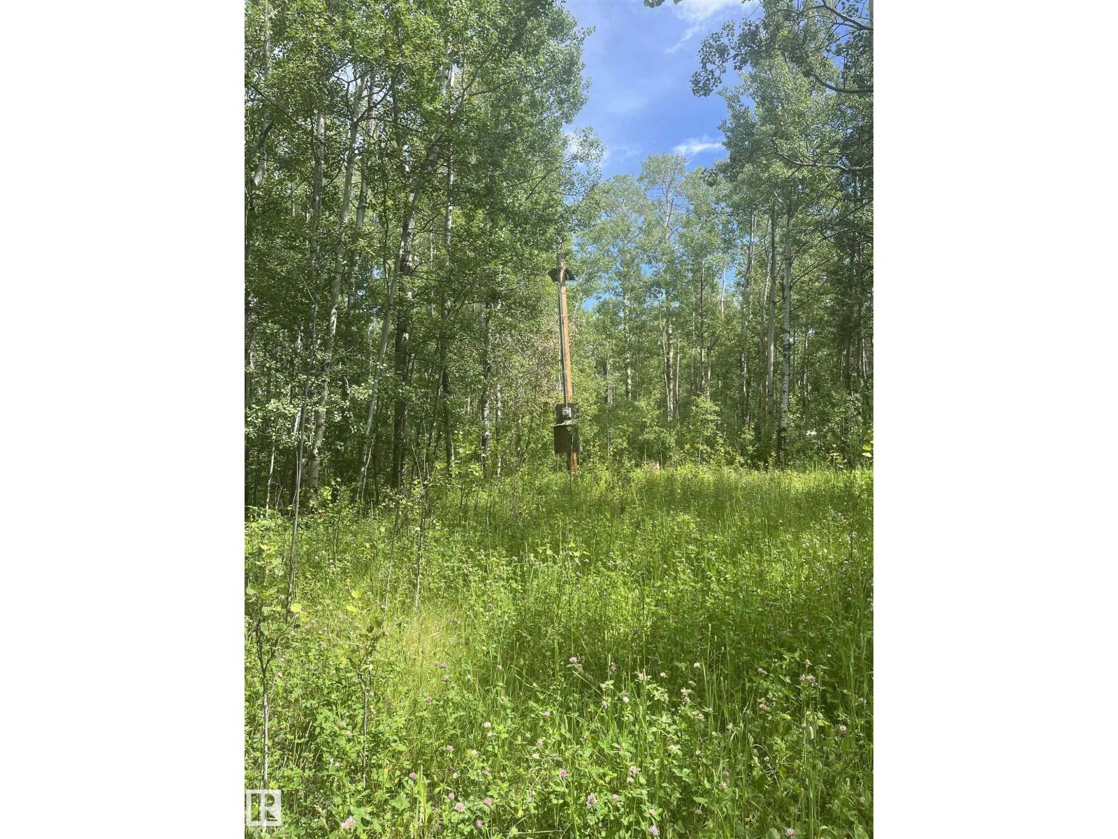 502 Highland Rd, Rural Wetaskiwin County, Alberta  T0C 2C0 - Photo 15 - E4505824