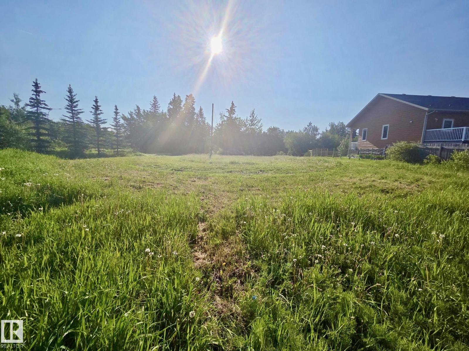 433 Swedberg St, Rural Wetaskiwin County, Alberta  T0C 2V0 - Photo 3 - E4506799