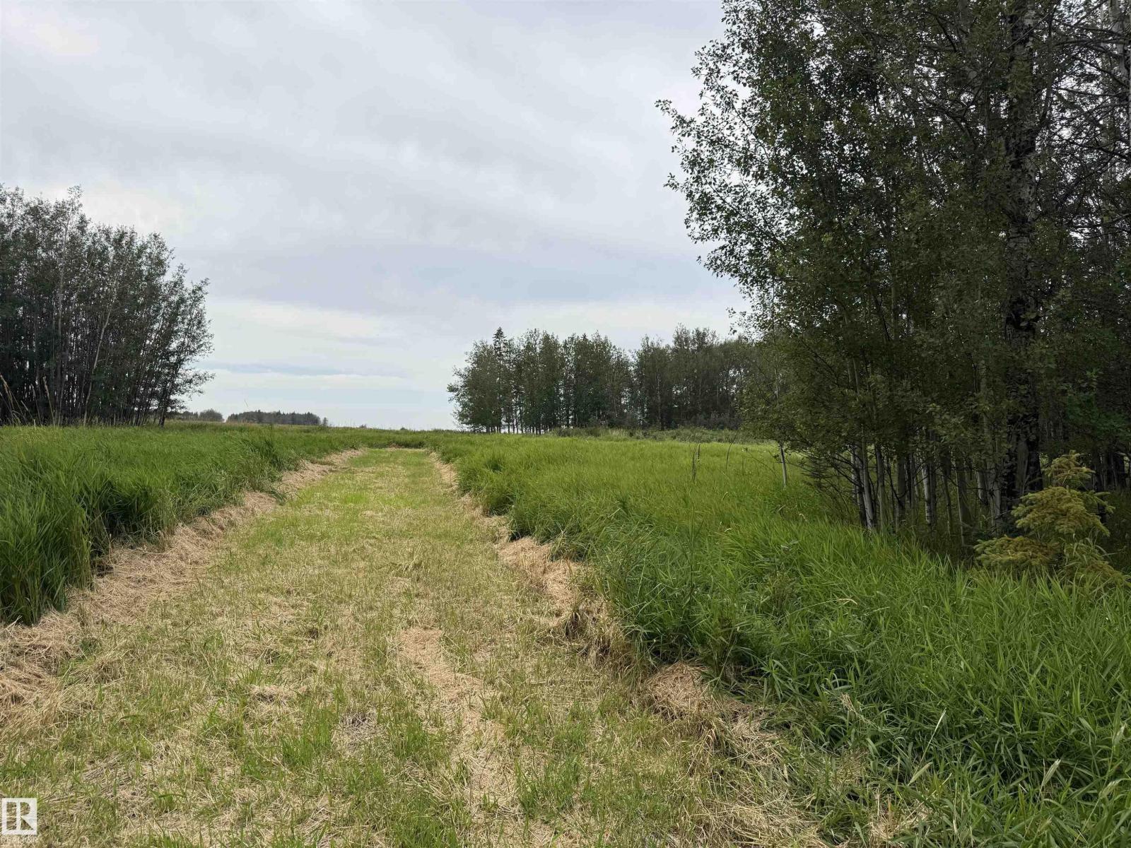Lot 6 Buck Lake Estates, Rural Wetaskiwin County, Alberta T0C 0T0 - Photo 6 - E4507151
