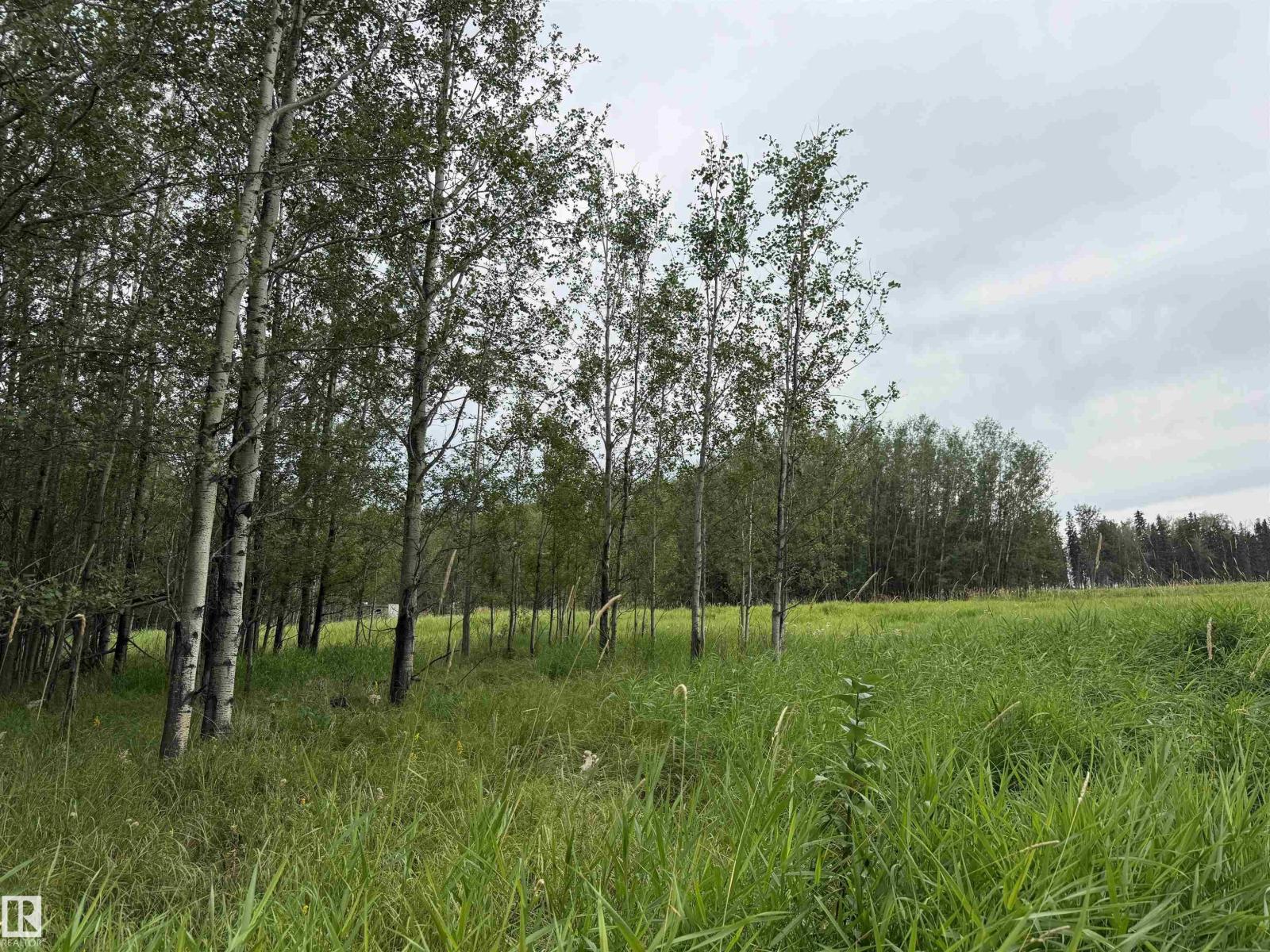 Lot 6 Buck Lake Estates, Rural Wetaskiwin County, Alberta T0C 0T0 - Photo 9 - E4507151