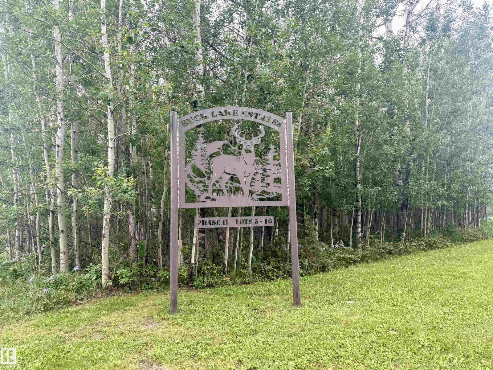 Lot 7 Buck Lake Estates, Rural Wetaskiwin County, Alberta T0C 0C0 - Photo 1 - E4507152