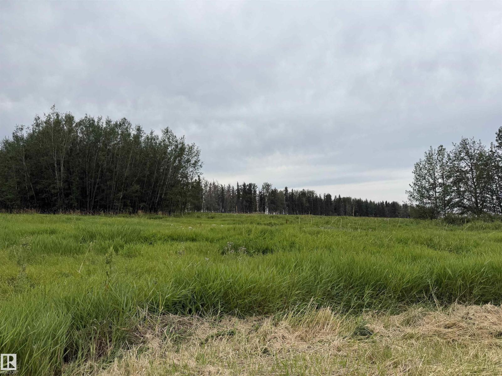 Lot 7 Buck Lake Estates, Rural Wetaskiwin County, Alberta T0C 0C0 - Photo 11 - E4507152