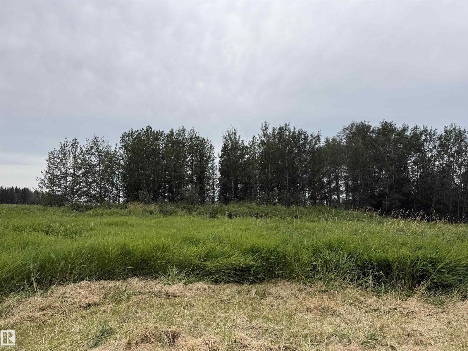 Lot 7 Buck Lake Estates, Rural Wetaskiwin County, Alberta T0C 0C0 - Photo 12 - E4507152