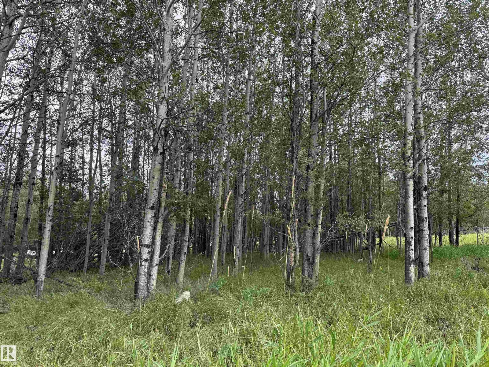 Lot 7 Buck Lake Estates, Rural Wetaskiwin County, Alberta T0C 0C0 - Photo 8 - E4507152