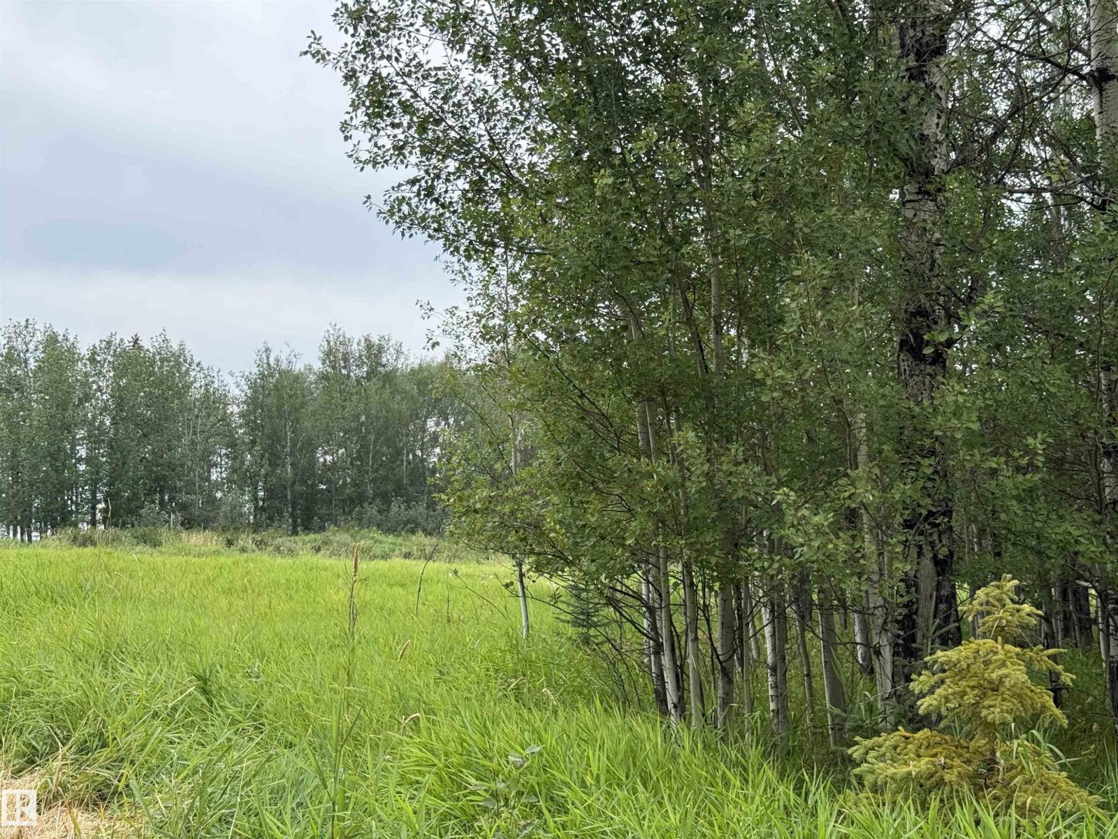 Lot 7 Buck Lake Estates, Rural Wetaskiwin County, Alberta T0C 0C0 - Photo 9 - E4507152