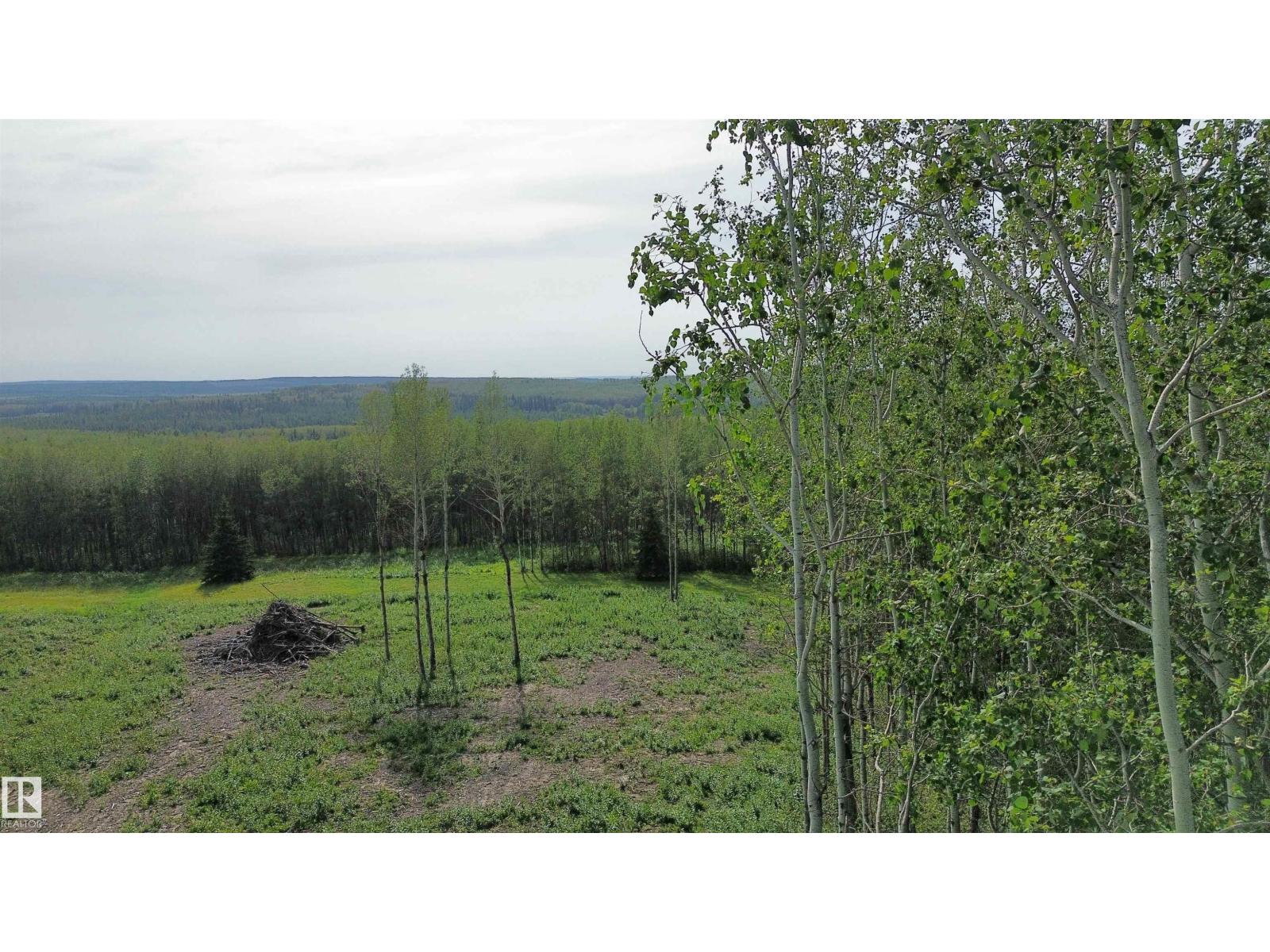 Twp Rd 505, Rural Brazeau County, Alberta T7A 2A2 - Photo 18 - E4507218