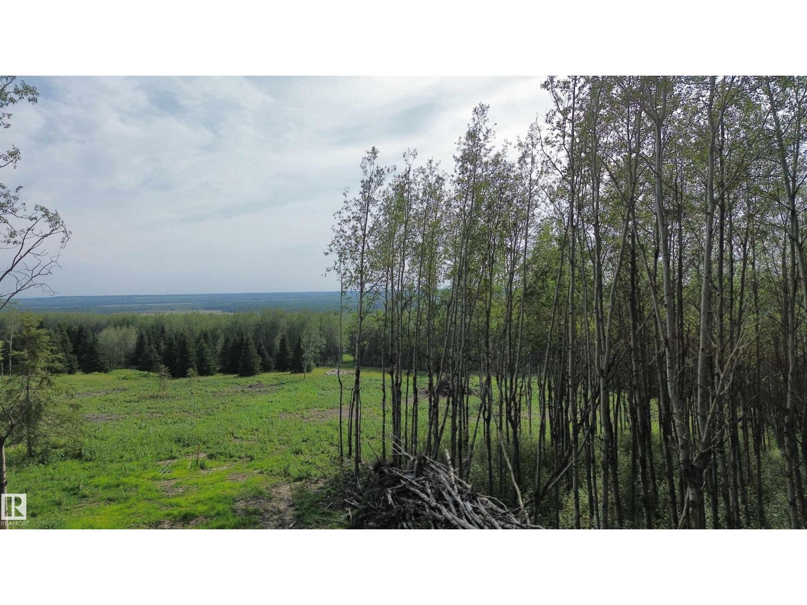 Twp Rd 505, Rural Brazeau County, Alberta T7A 2A2 - Photo 19 - E4507218