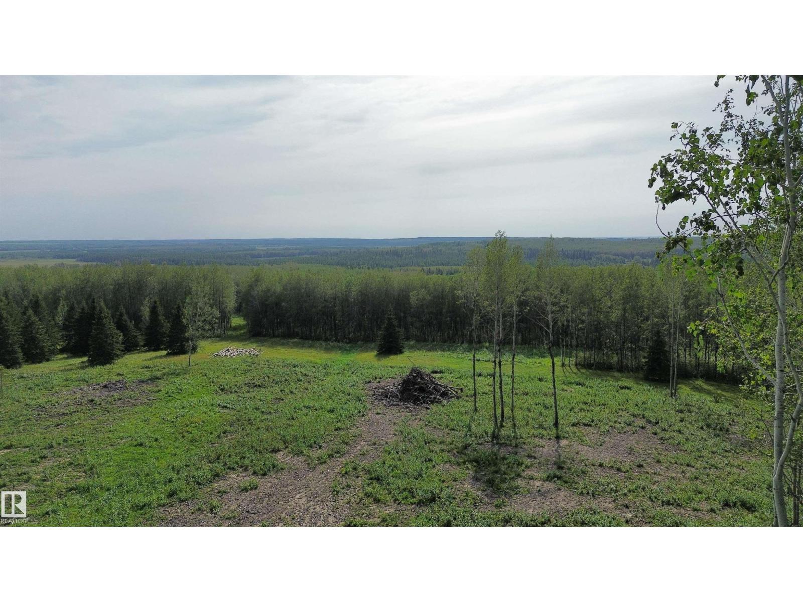 Twp Rd 505, Rural Brazeau County, Alberta T7A 2A2 - Photo 20 - E4507218