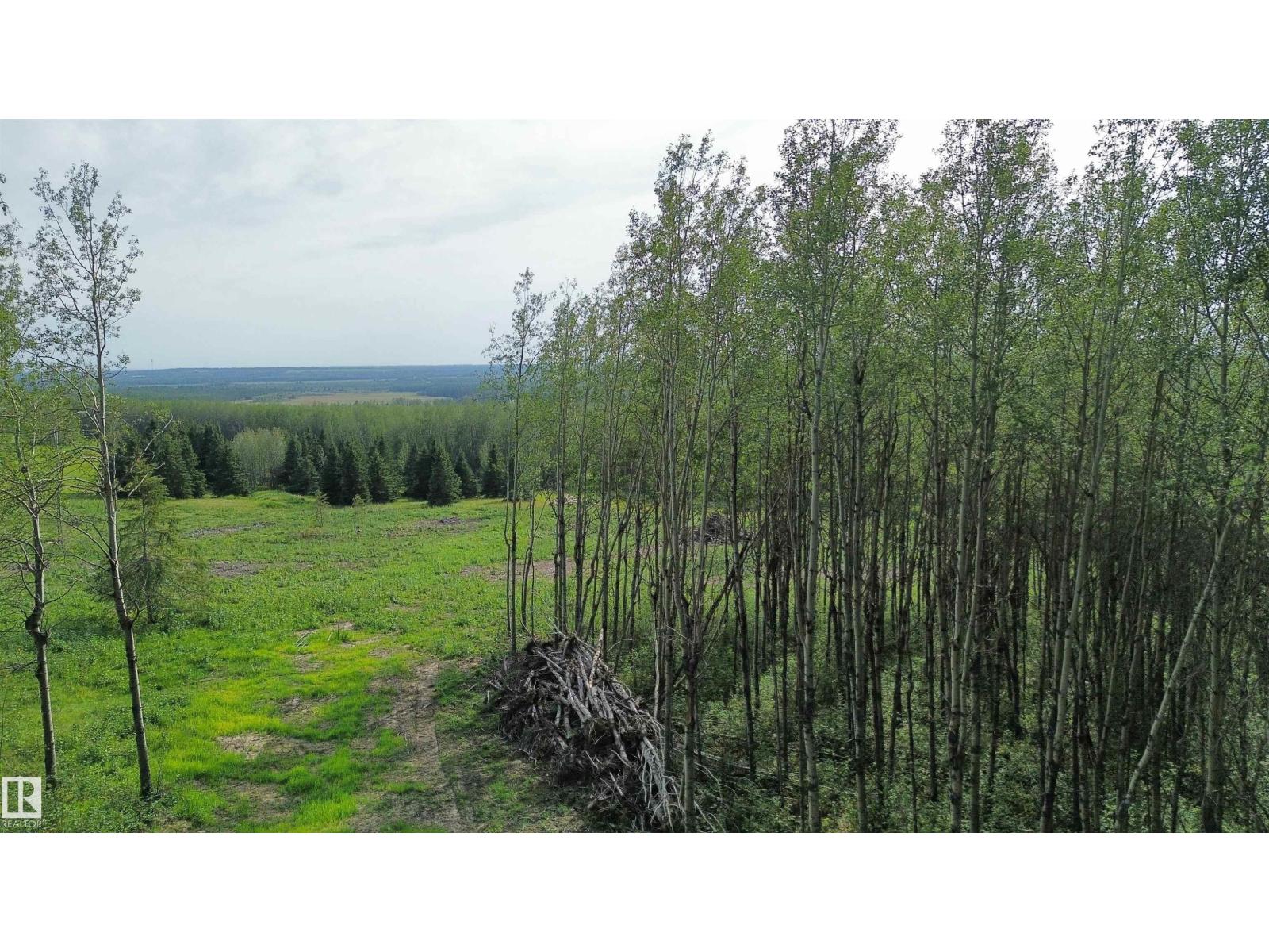 Twp Rd 505, Rural Brazeau County, Alberta T7A 2A2 - Photo 21 - E4507218